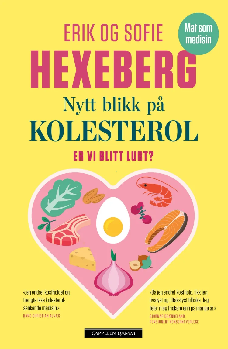 Omslag Nytt blikk på kolesterol av Sofie Hexeberg og Erik Hexeberg (Ebok)