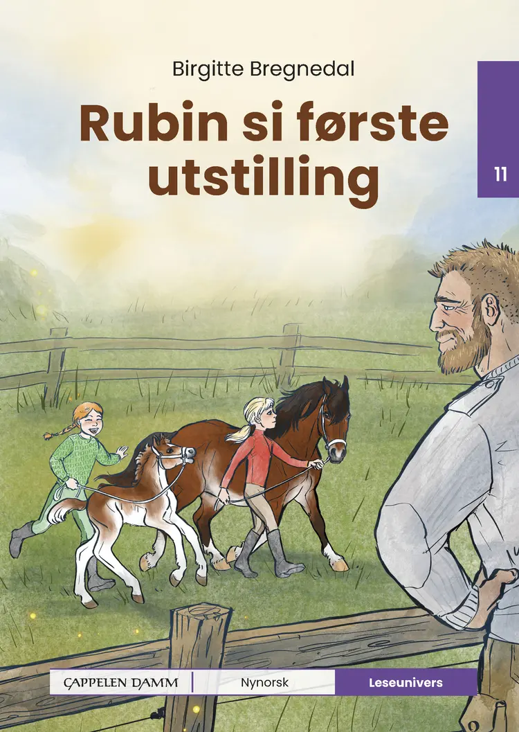 Omslag Leseunivers 11: Rubin si første utstilling av Birgitte Bregnedal (Innbundet)