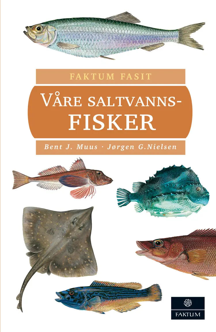 Omslag Våre saltvannsfisker av Bent J. Muus og Jørgen G. Nielsen (Innbundet)
