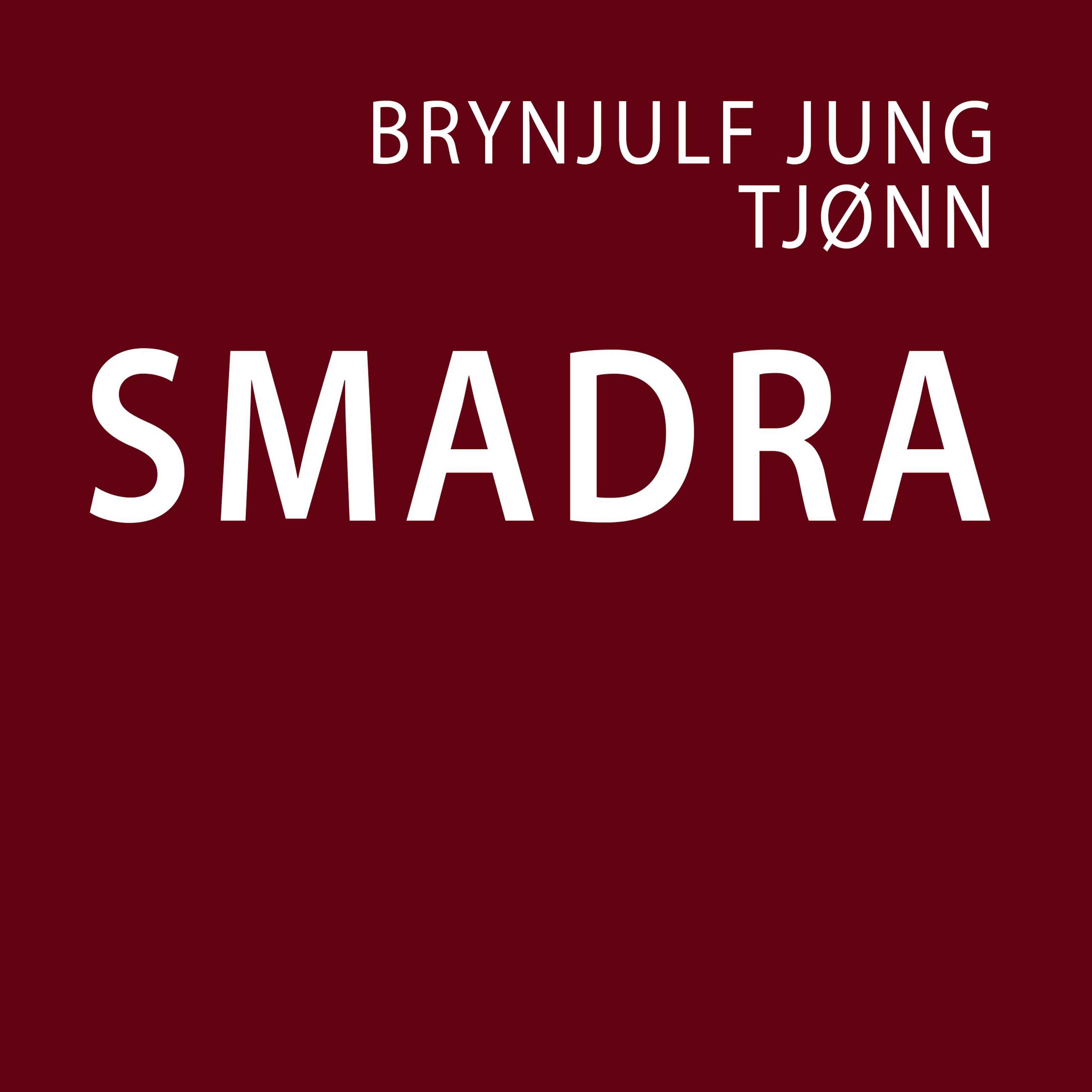 Omslag Smadra av Brynjulf Jung Tjønn (Lydbok)
