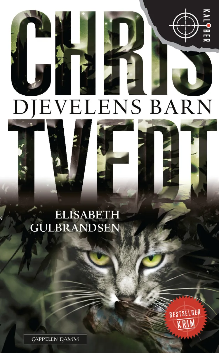 Omslag Djevelens barn av Chris Tvedt og Elisabeth Gulbrandsen (Heftet)