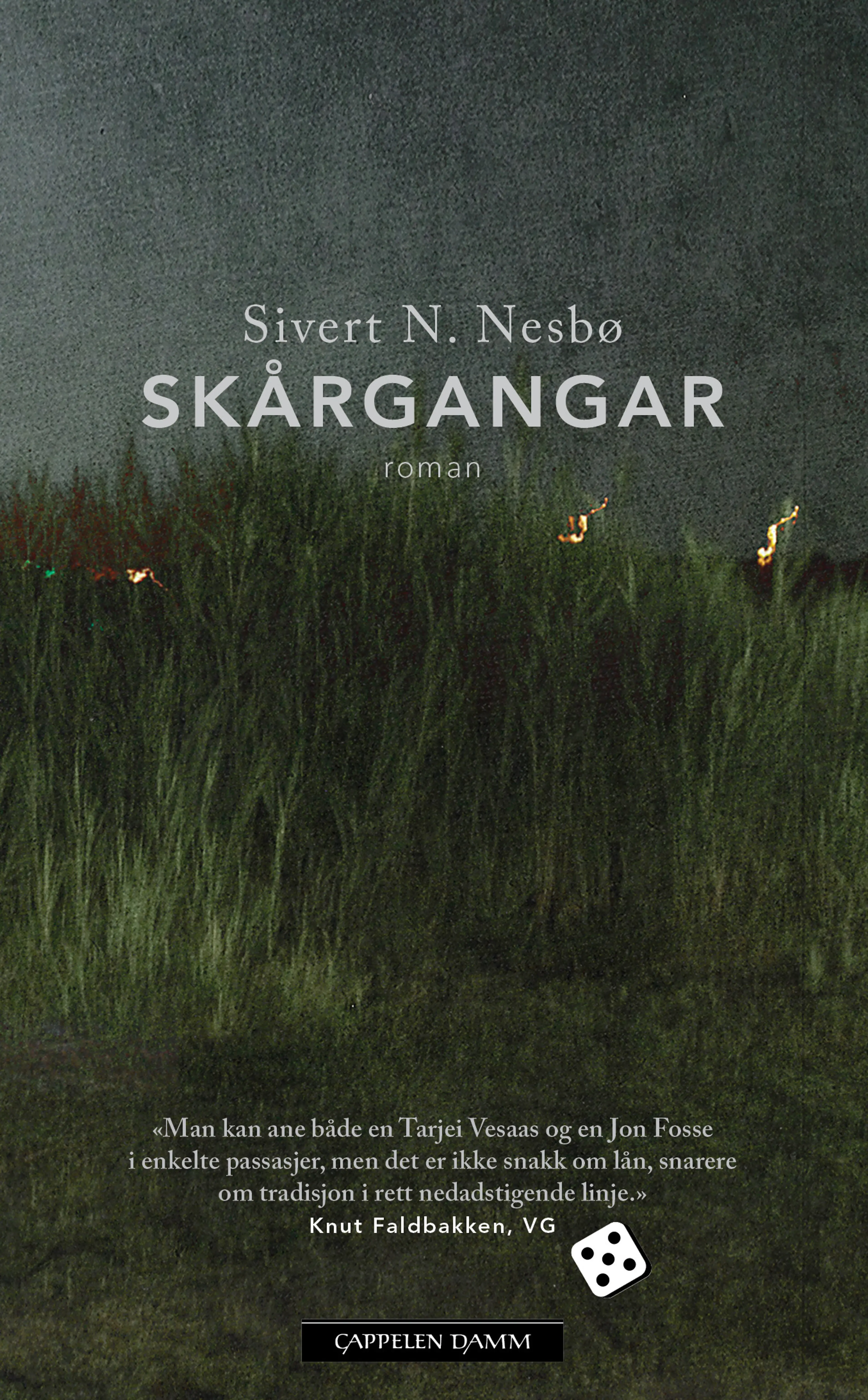 Omslag Skårgangar av Sivert N. Nesbø (Heftet)