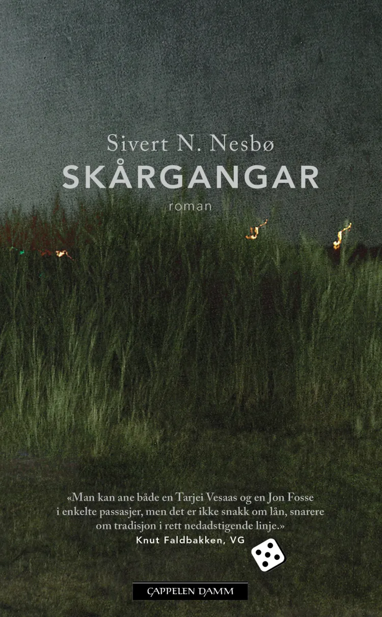 Omslag Skårgangar av Sivert N. Nesbø (Heftet)