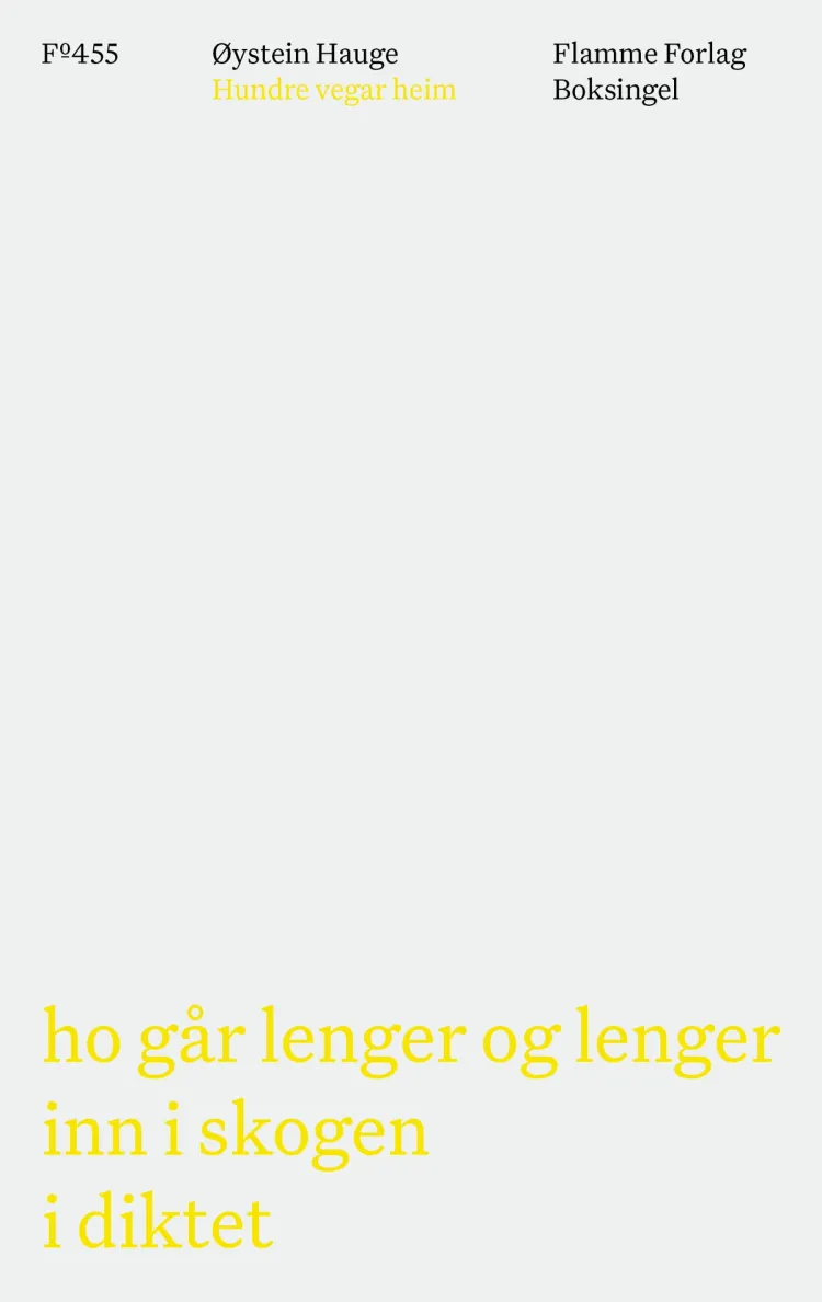 Omslag Hundre vegar heim av Øystein Hauge (Heftet)