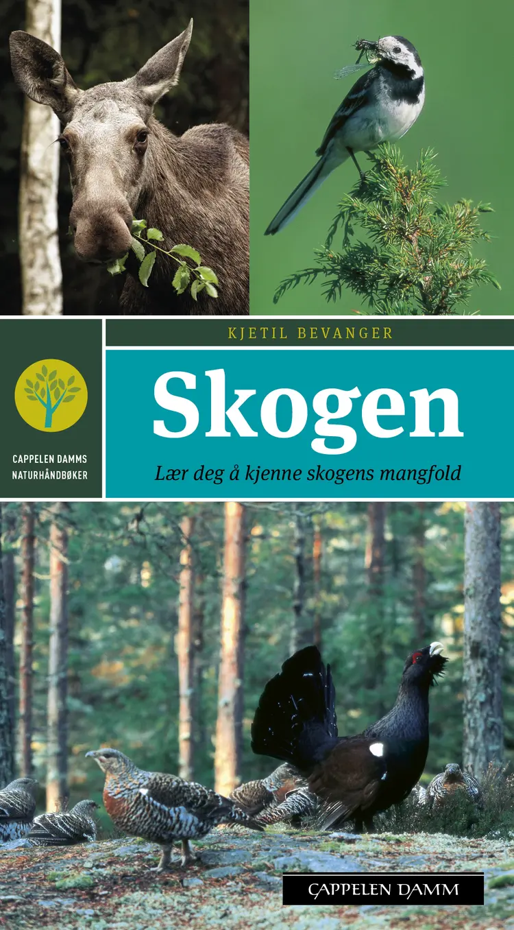 Omslag Skogen av Kjetil Bevanger (Heftet)