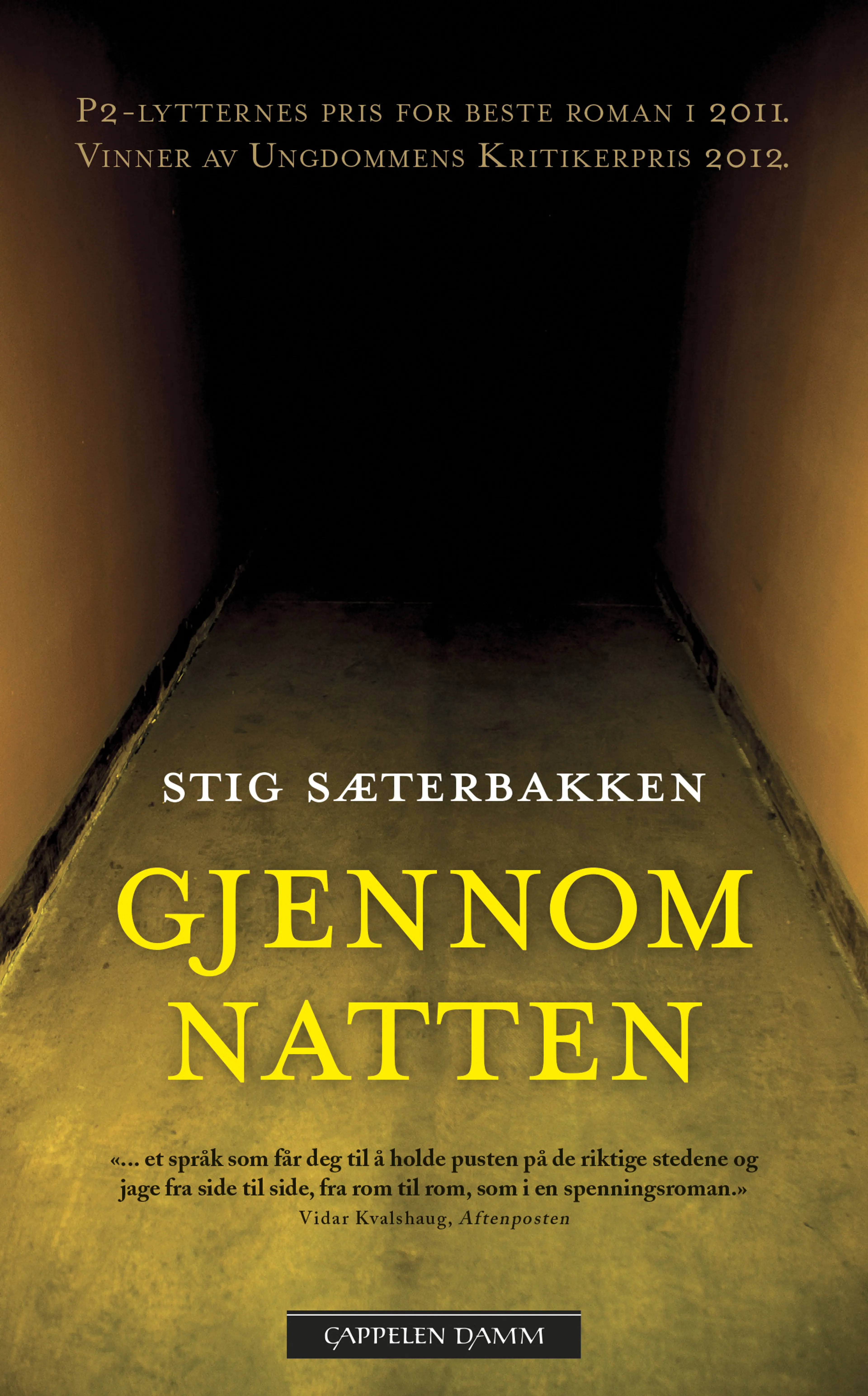 Omslag Gjennom natten av Stig Sæterbakken (Heftet)
