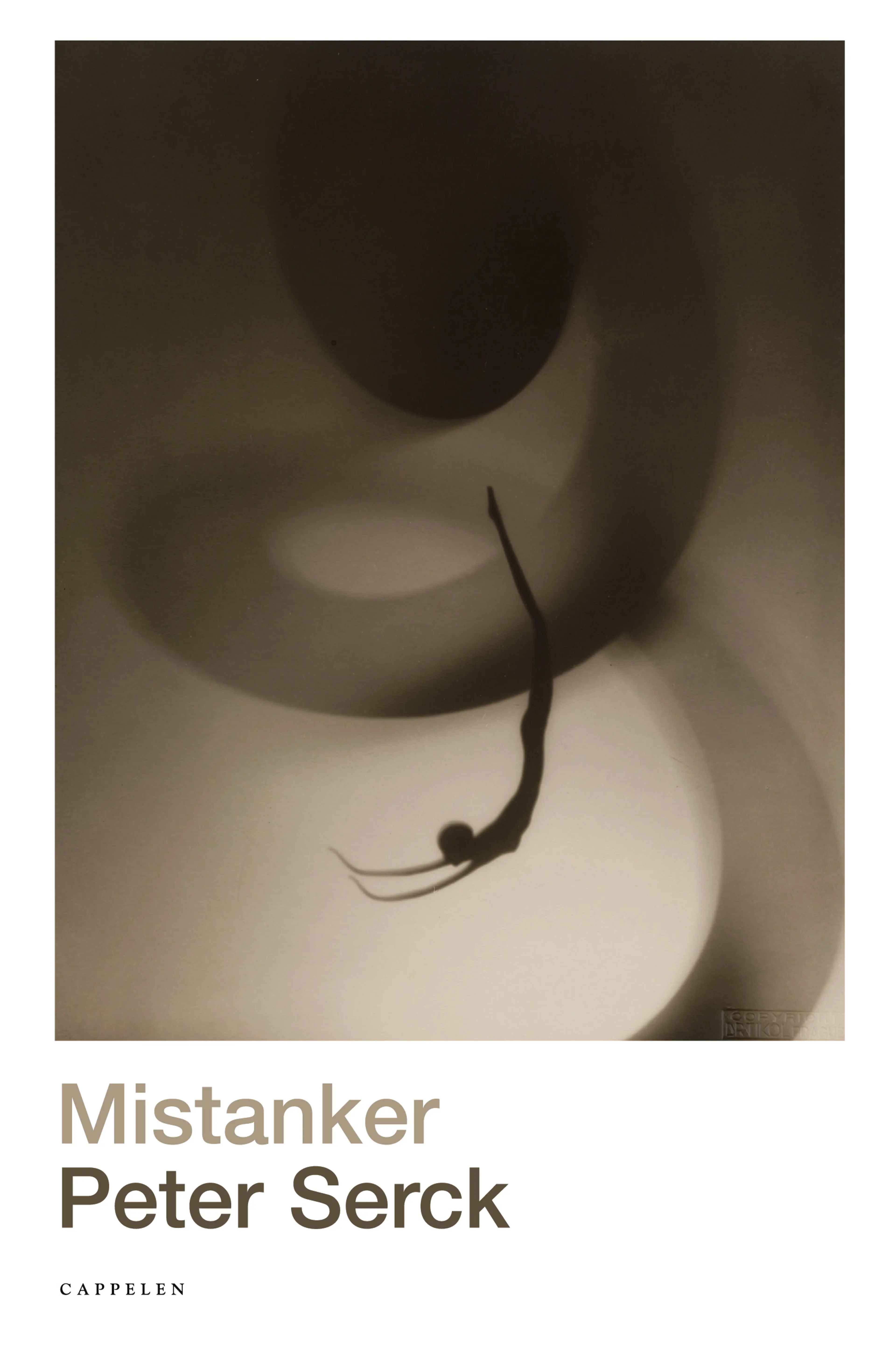 Omslag Mistanker av Peter Serck (Innbundet)