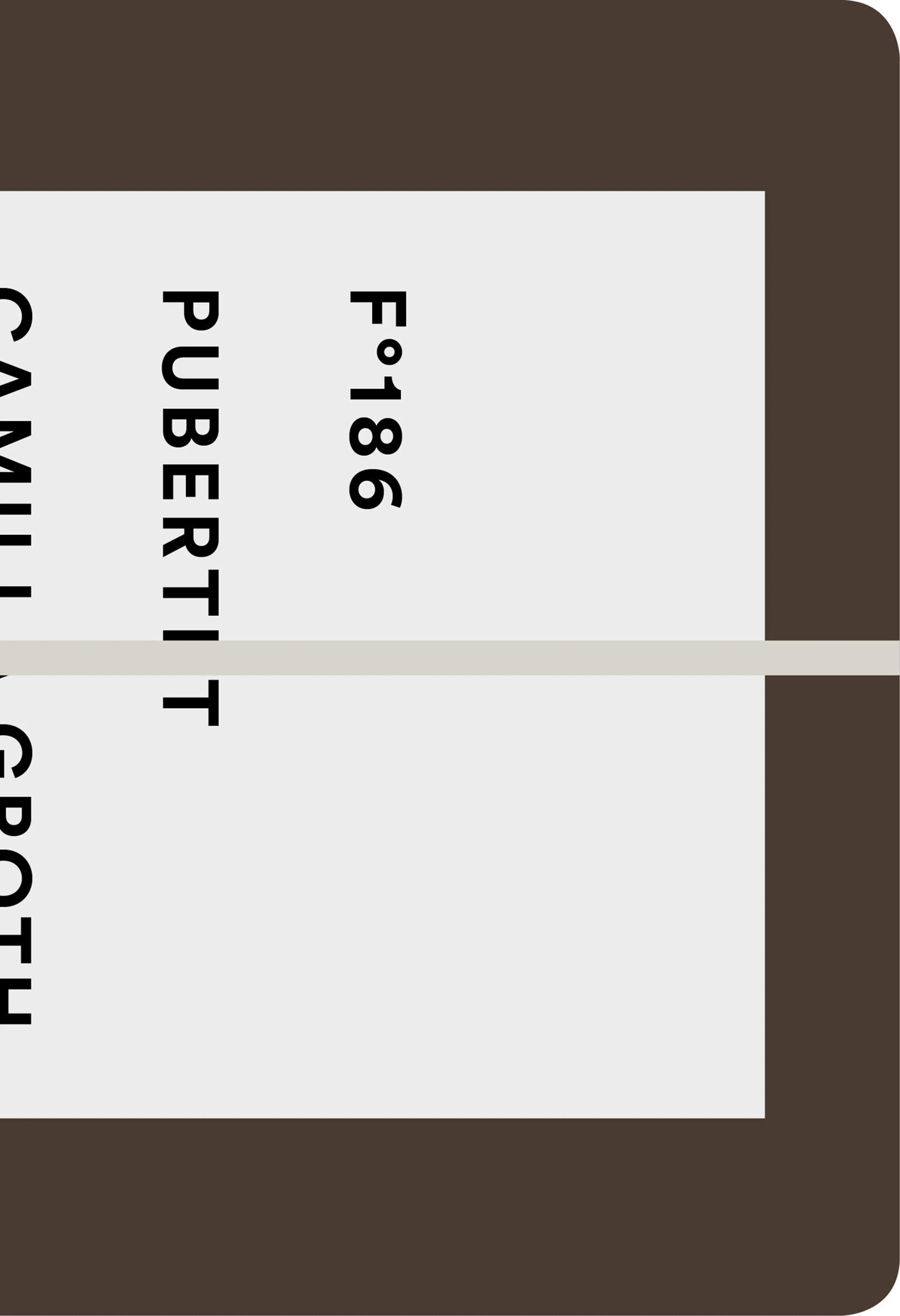 Omslag Pubertet av Camilla Groth (Heftet)