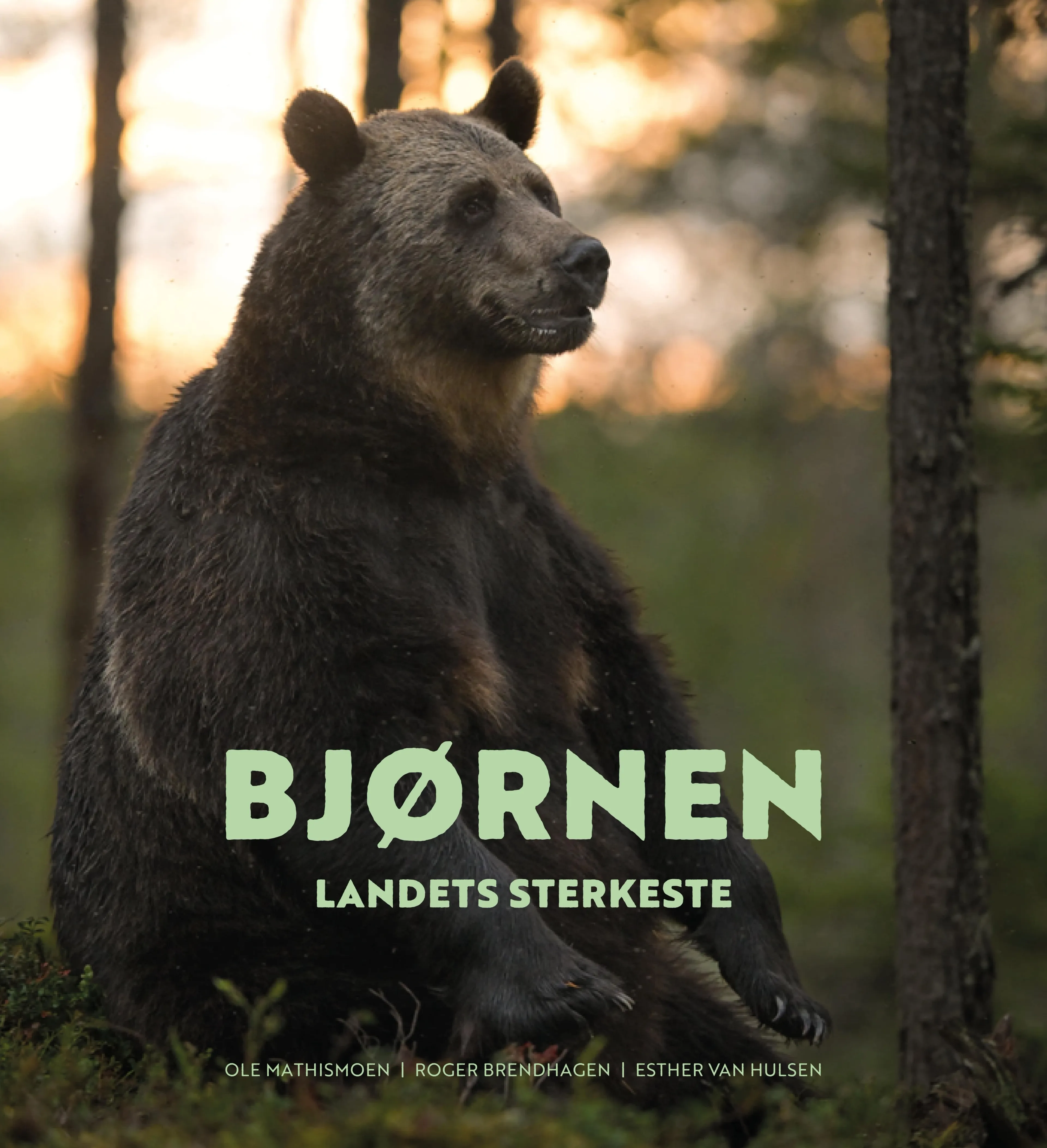 Omslag Bjørnen av Ole Mathismoen og Roger Brendhagen (Innbundet)