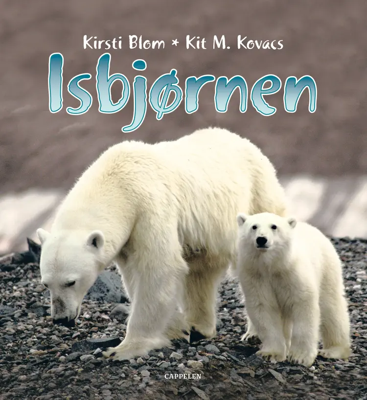 Omslag Isbjørnen av Kirsti Blom og Kit M. Kovacs (Innbundet)