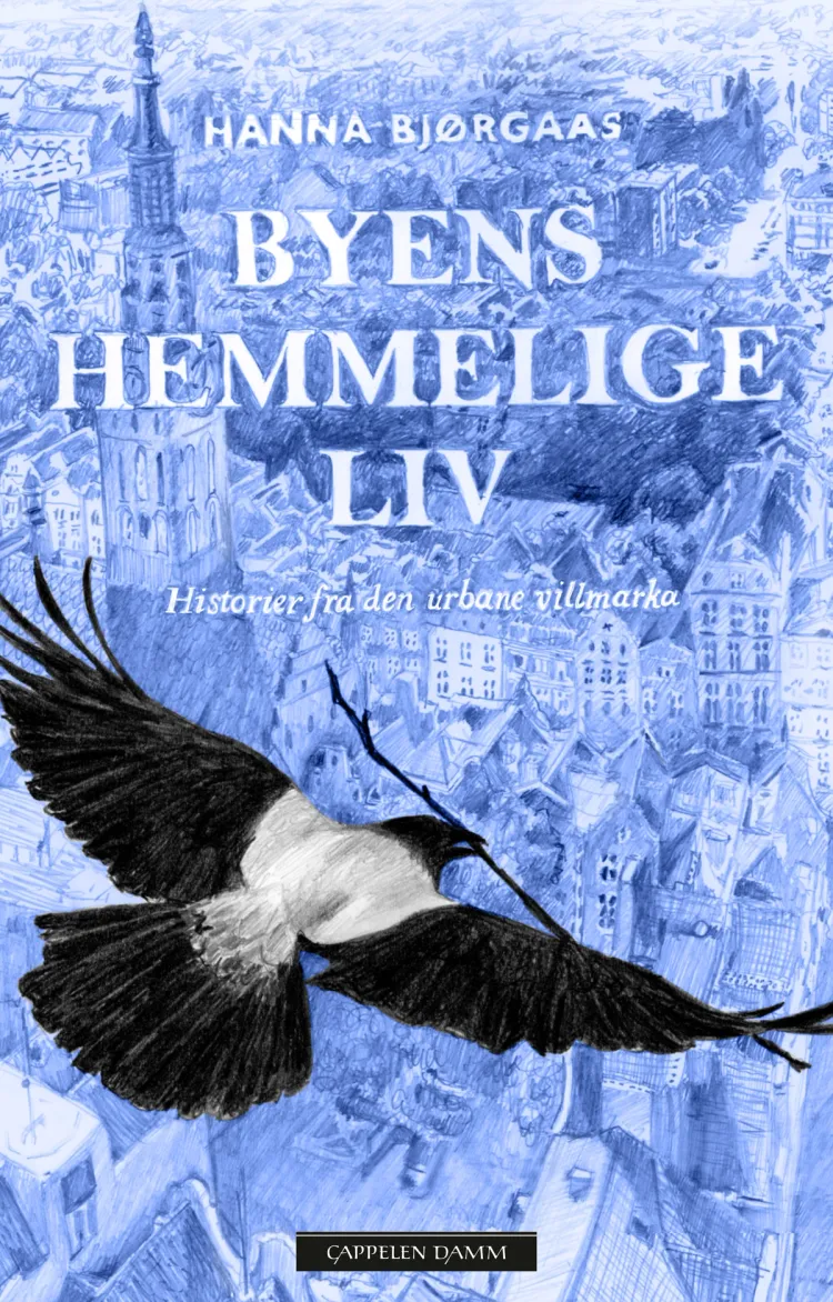 Omslag Byens hemmelige liv av Hanna Bjørgaas (Innbundet)