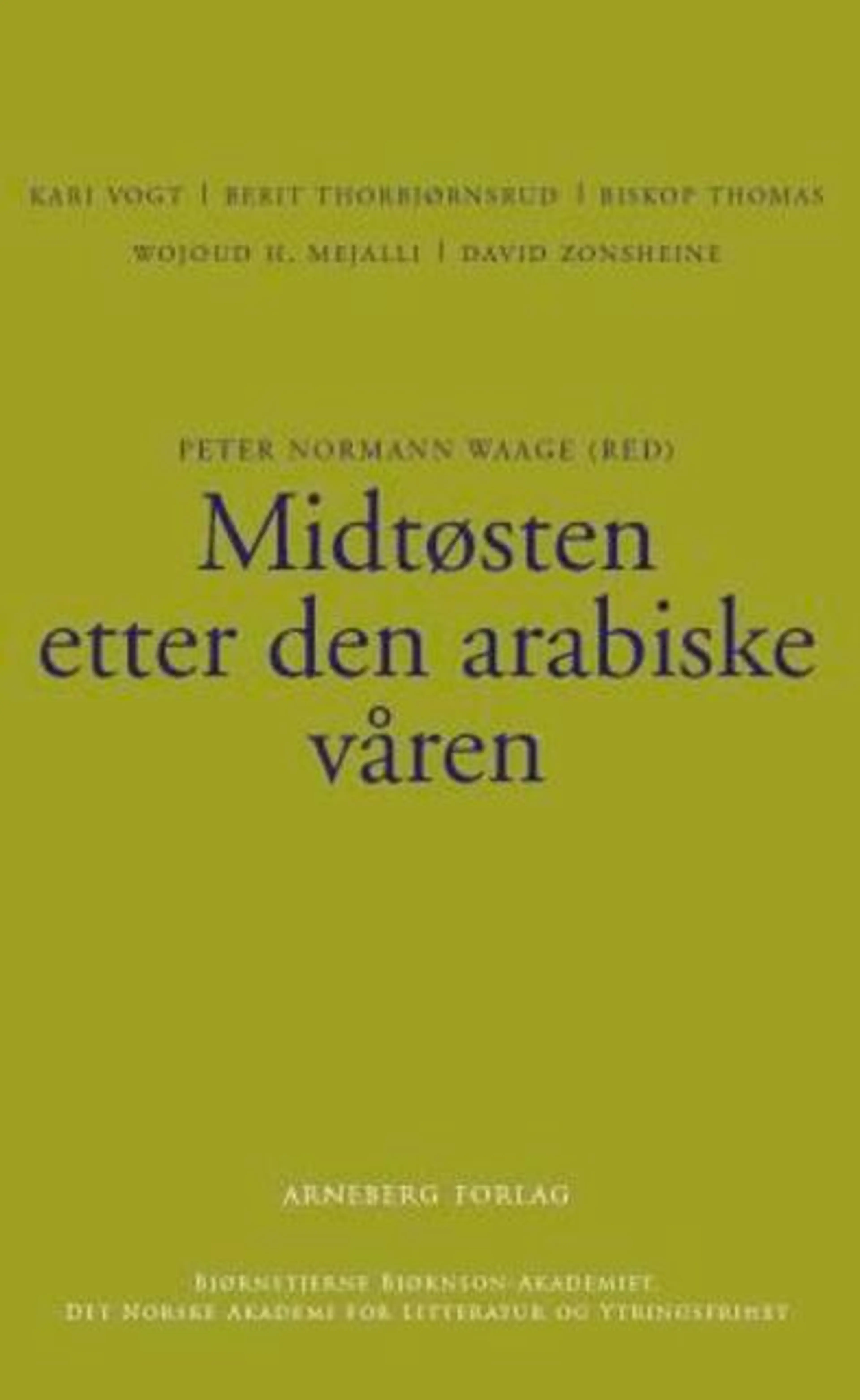 Omslag Midtøsten etter den arabiske våren (Heftet)