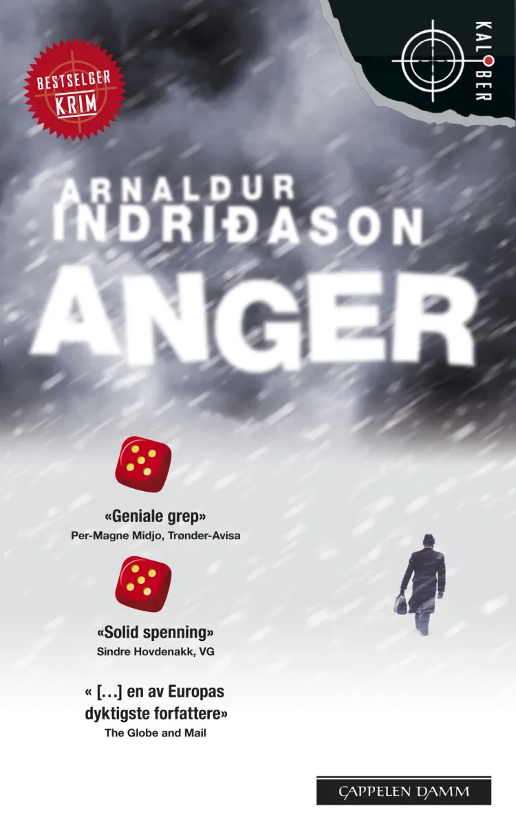 Omslag Anger av Arnaldur Indridason (Heftet)