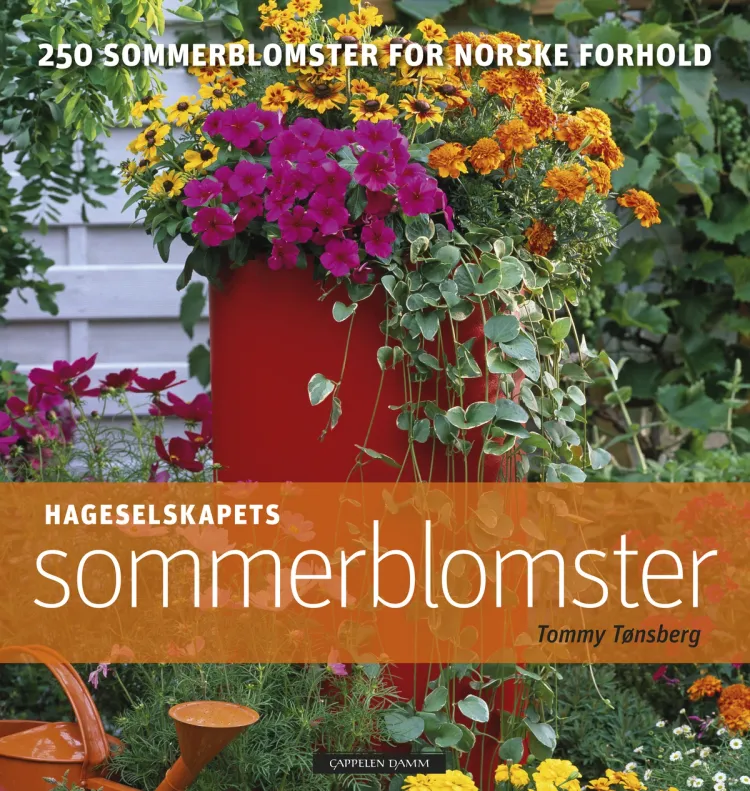 Omslag Hageselskapets sommerblomster av Tommy Tønsberg (Innbundet)