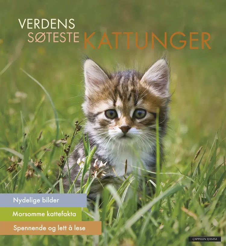 Omslag Verdens søteste kattunger (Innbundet)