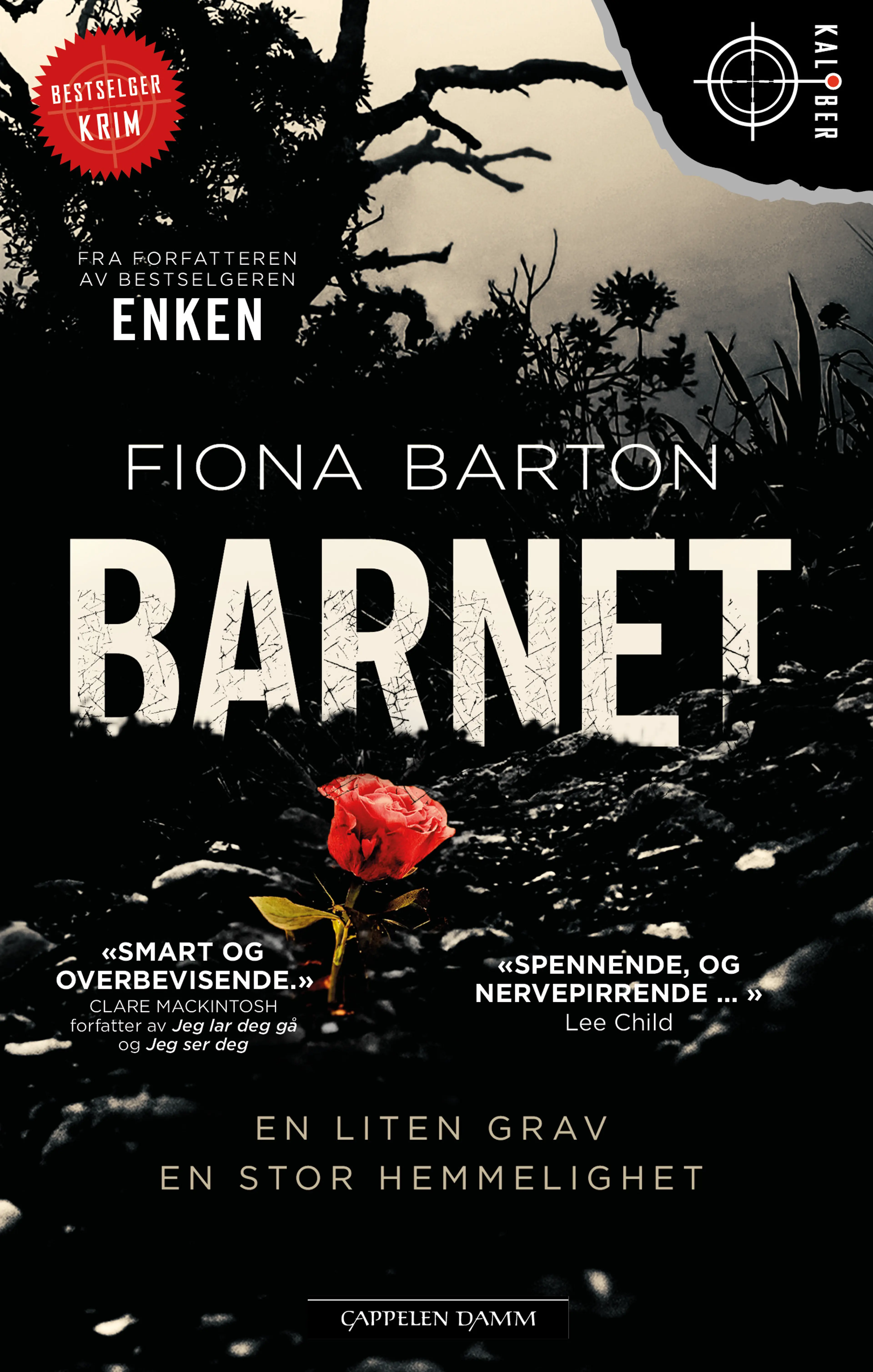 Omslag Barnet av Fiona Barton (Heftet)