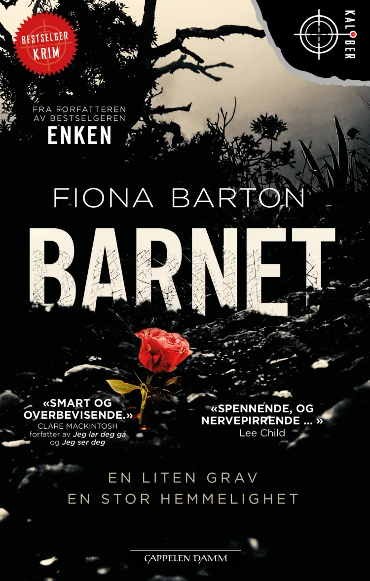 Omslag Barnet av Fiona Barton (Heftet)