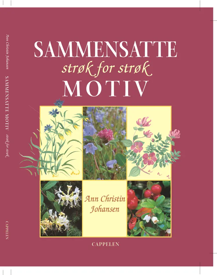 Omslag Sammensatte motiv av Ann Chr. Johansen (Innbundet)