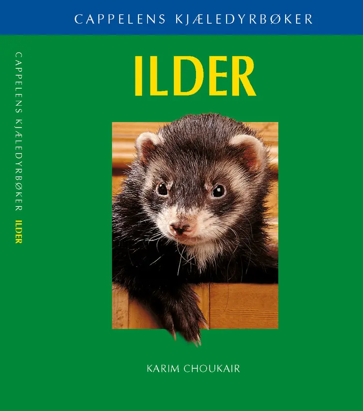 Omslag Ilder av Karim Choukair (Heftet)