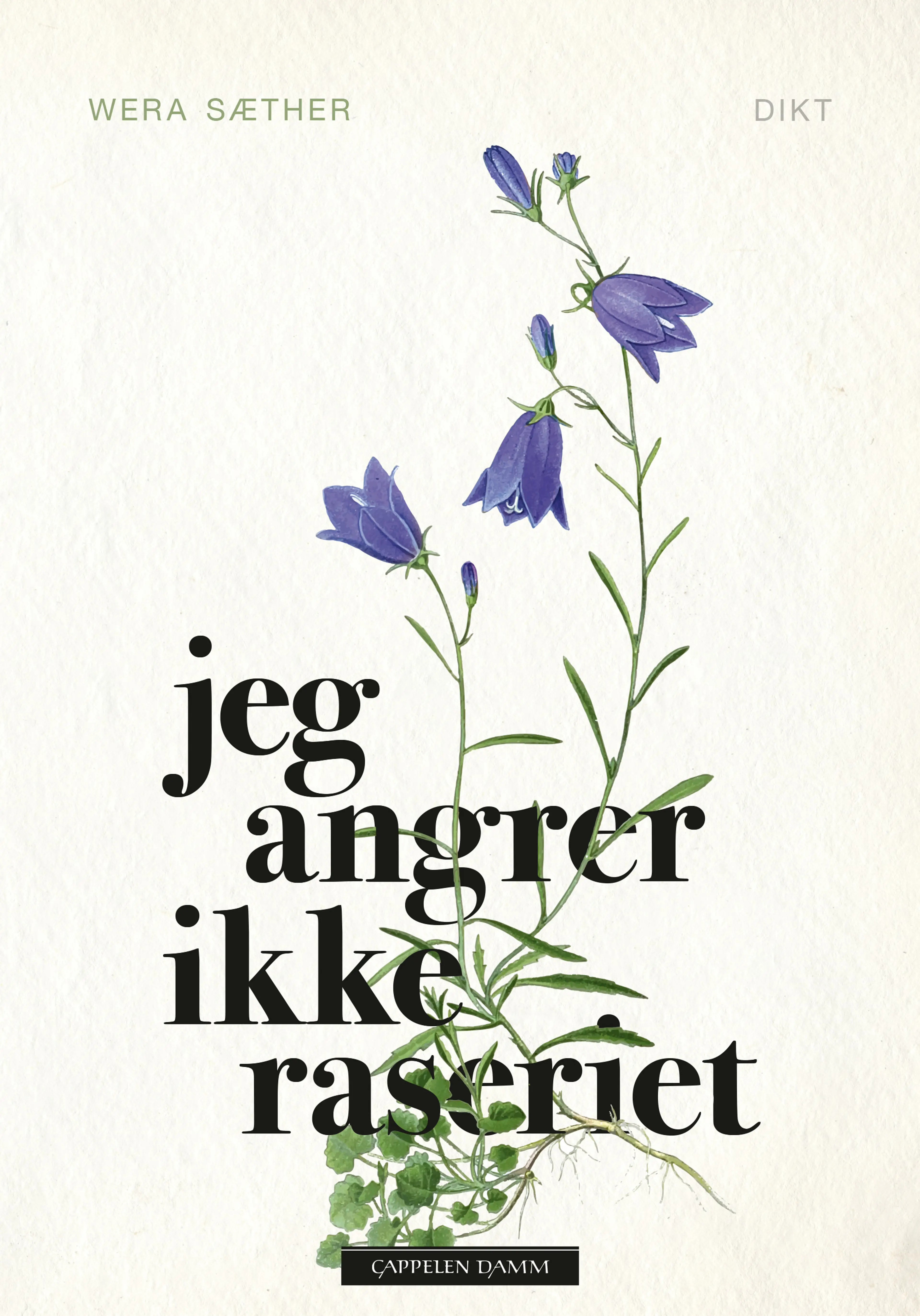 Omslag Jeg angrer ikke raseriet av Wera Sæther (Innbundet)