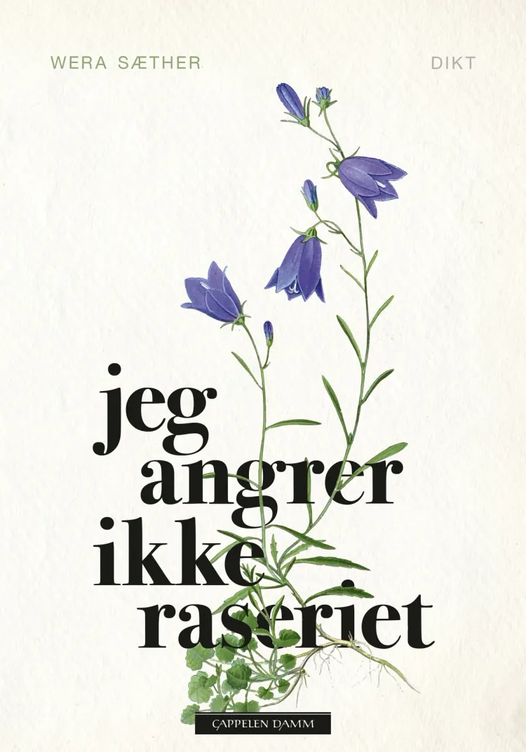 Omslag Jeg angrer ikke raseriet av Wera Sæther (Ebok)