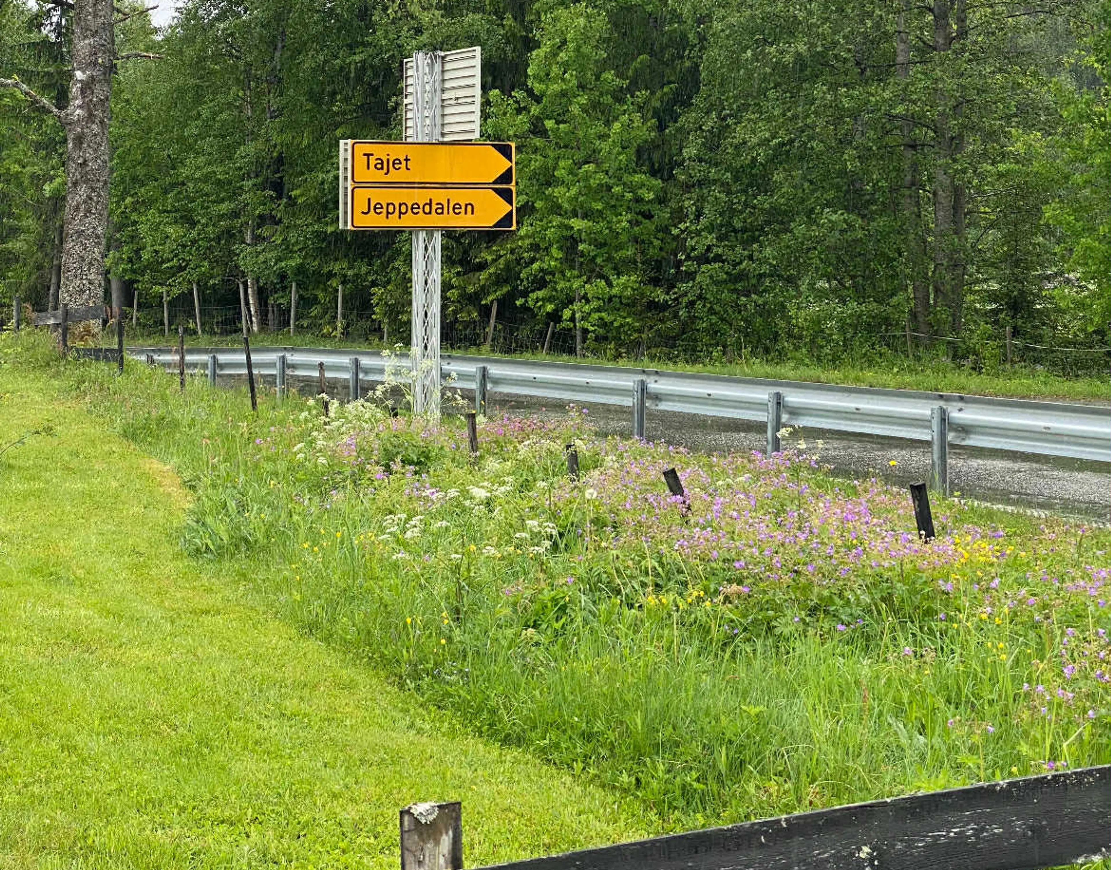 Sommerdagboka: Olav Reisop 