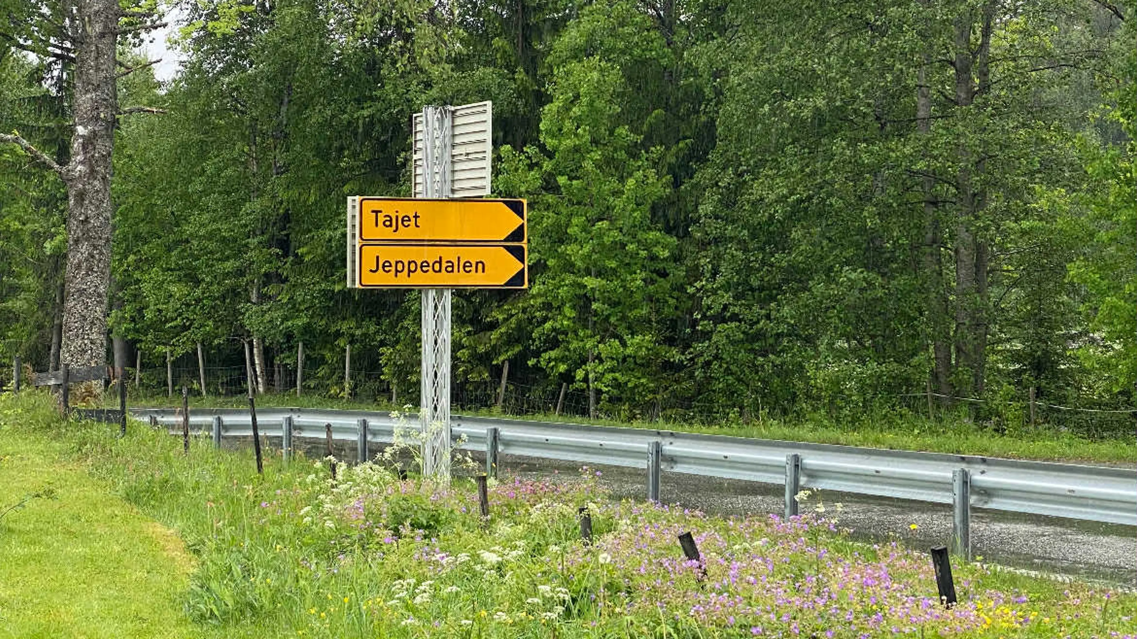 Sommerdagboka: Olav Reisop