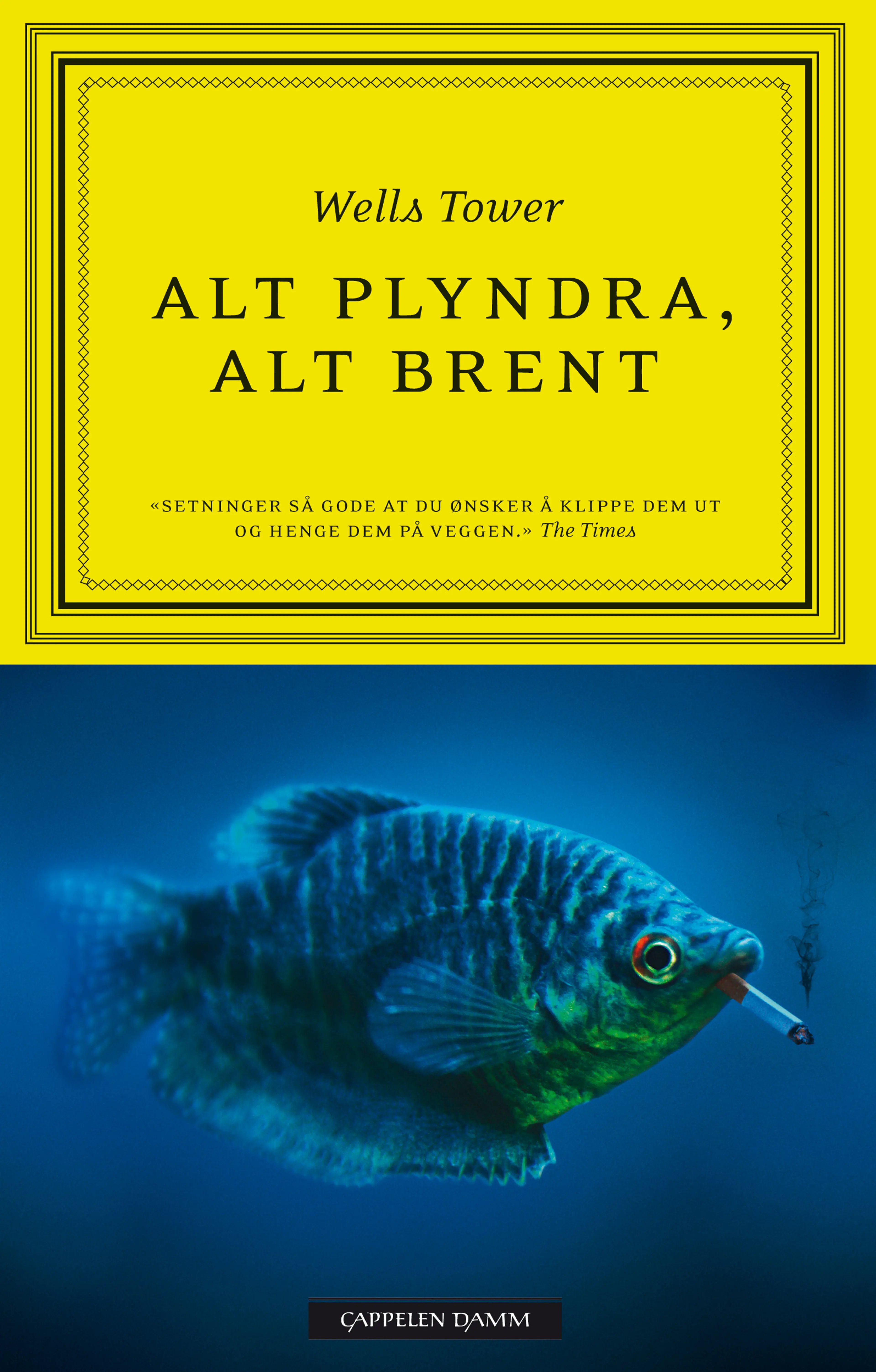 Omslag Alt plyndra, alt brent av Wells Tower (Innbundet)