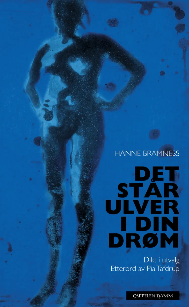 Omslag Det står ulver i din drøm, dikt i utvalg av Hanne Bramness (Heftet)