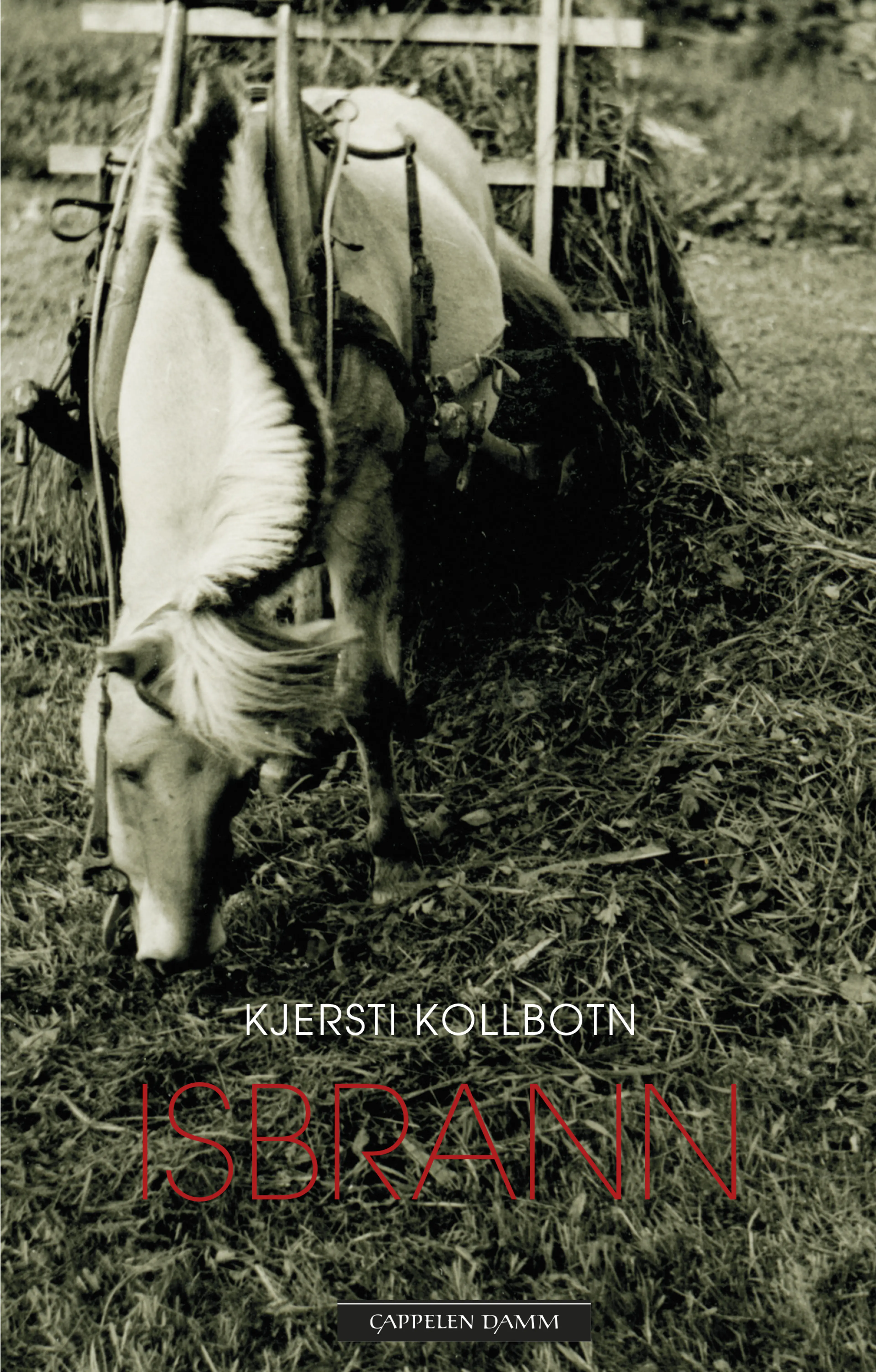 Omslag Isbrann av Kjersti Kollbotn (Ebok)