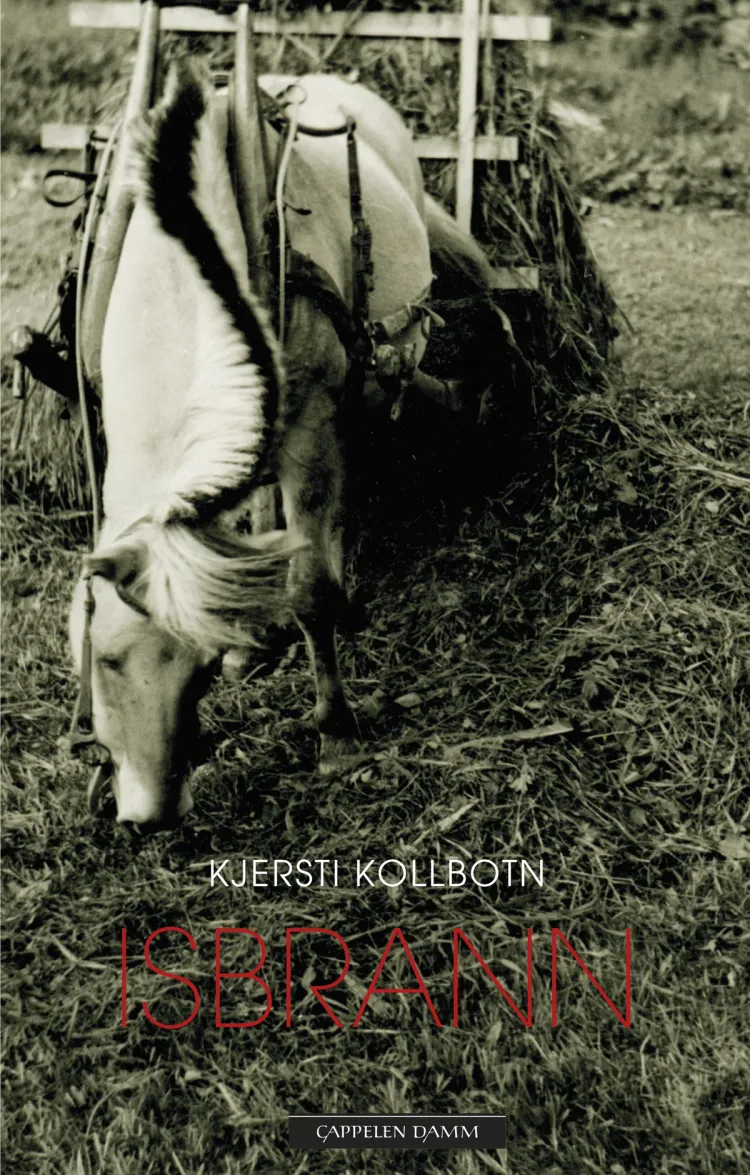 Omslag Isbrann av Kjersti Kollbotn (Ebok)