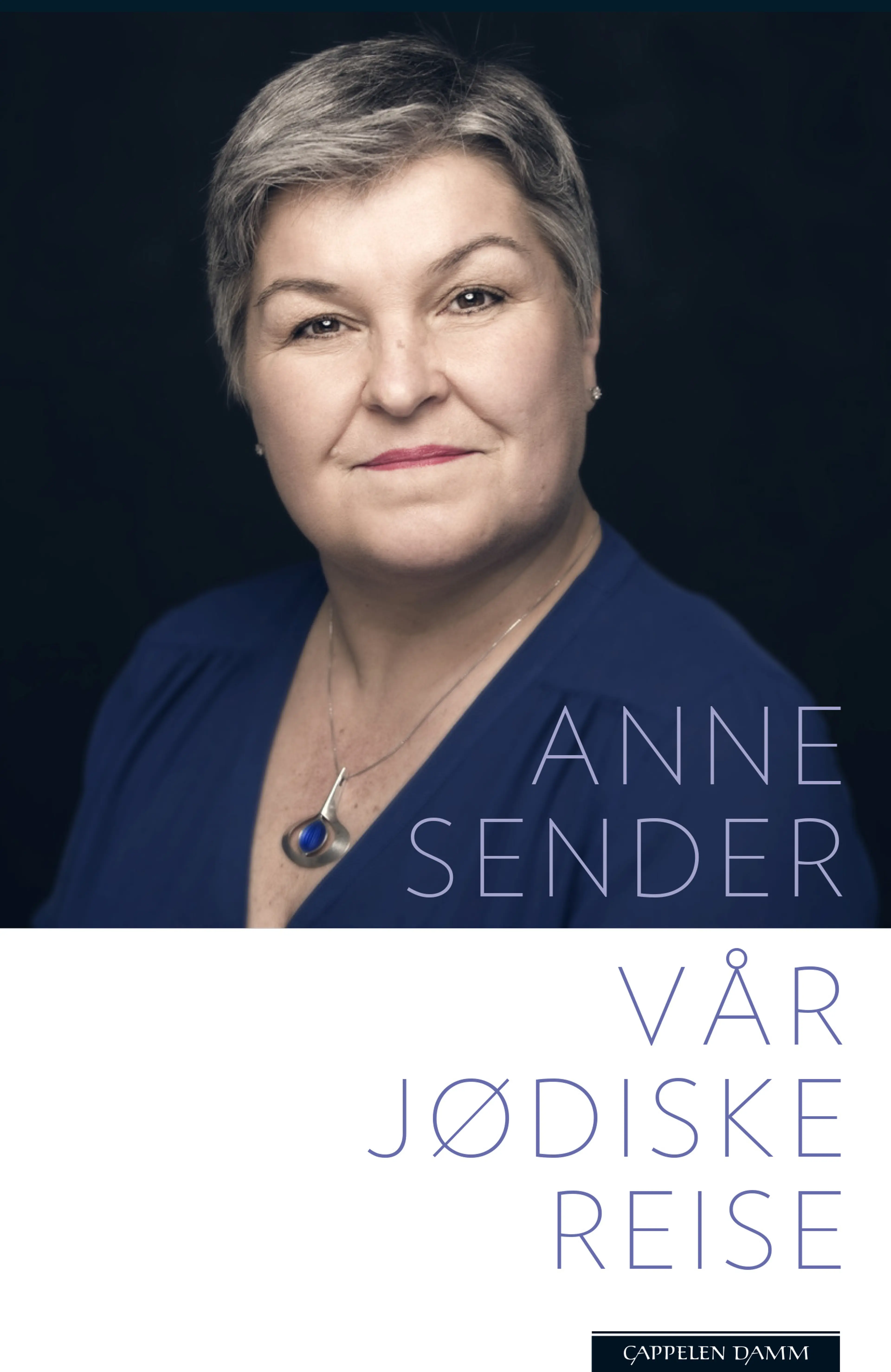 Omslag Vår jødiske reise av Anne Sender (Innbundet)
