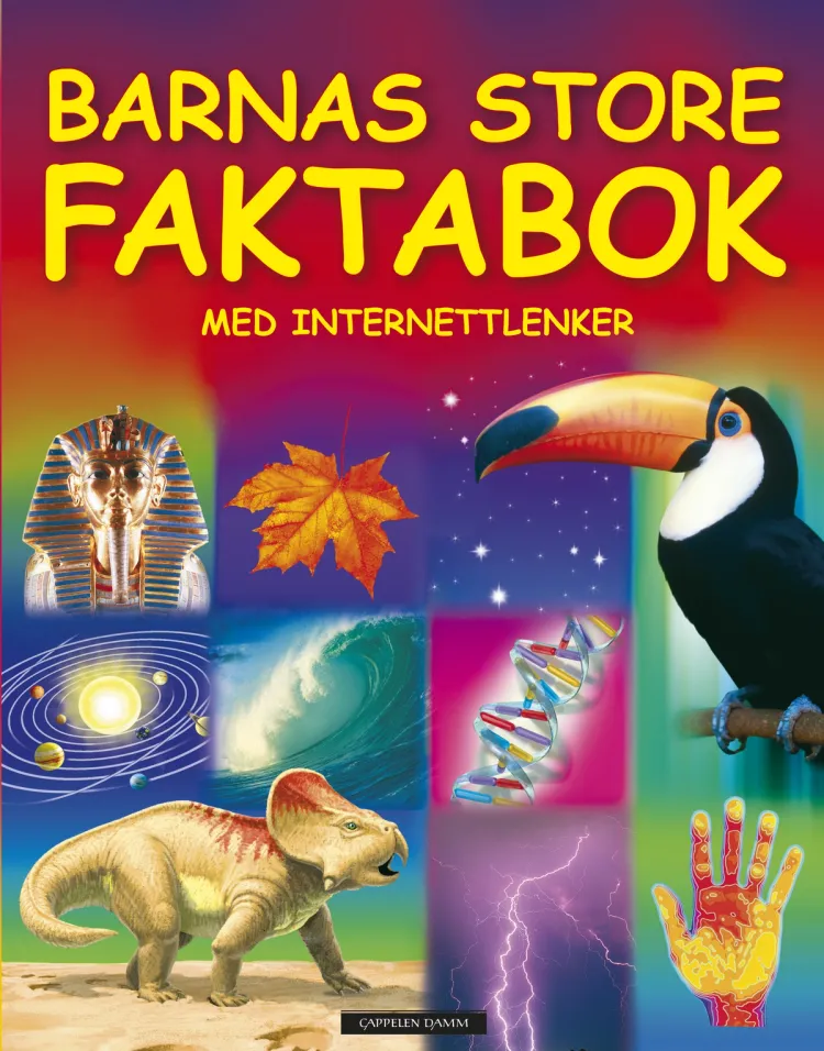Omslag Gavebøker 2/2009 Barnas store faktabok (Innbundet)