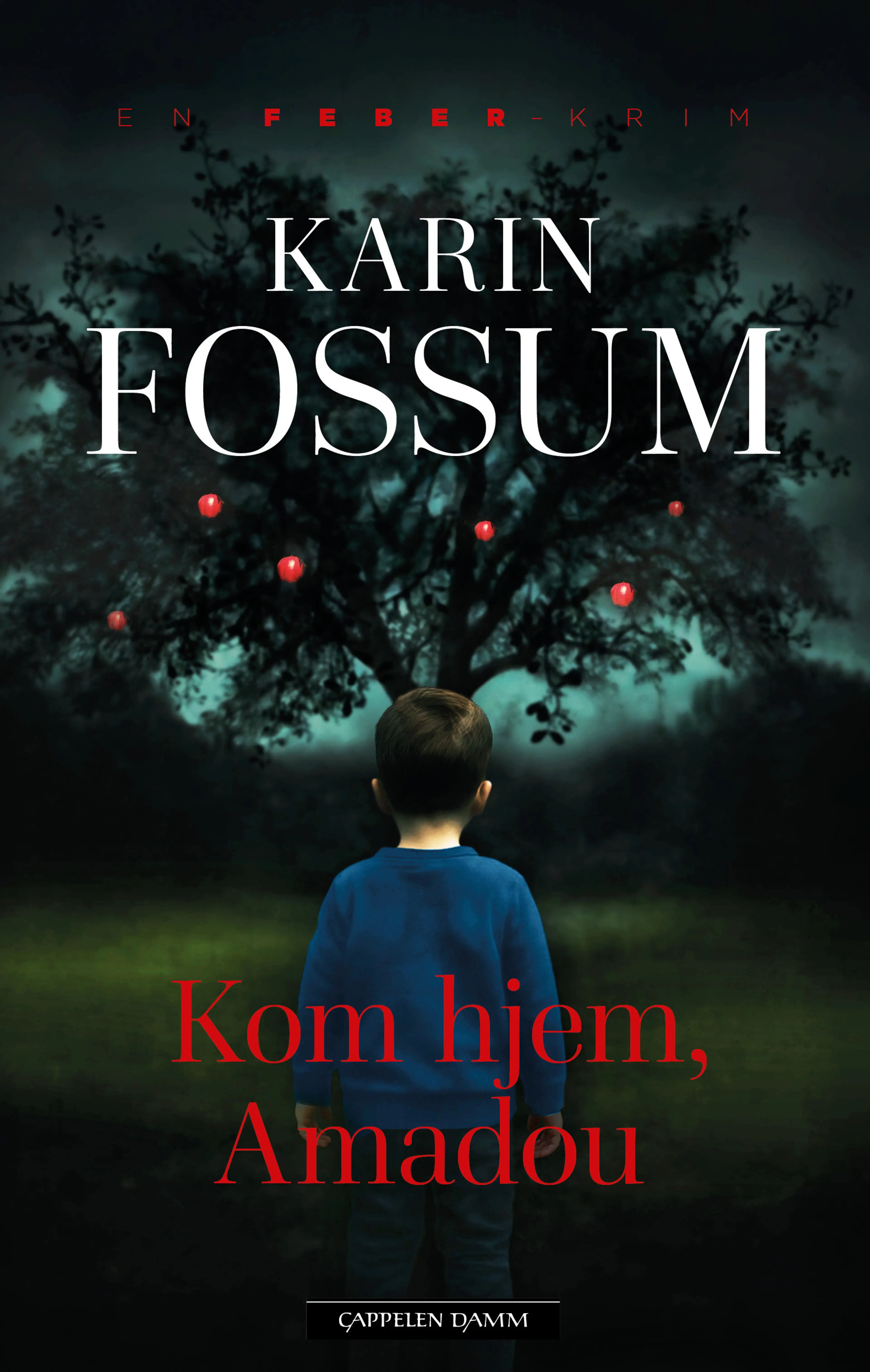 Omslag Kom hjem, Amadou av Karin Fossum (Ebok)