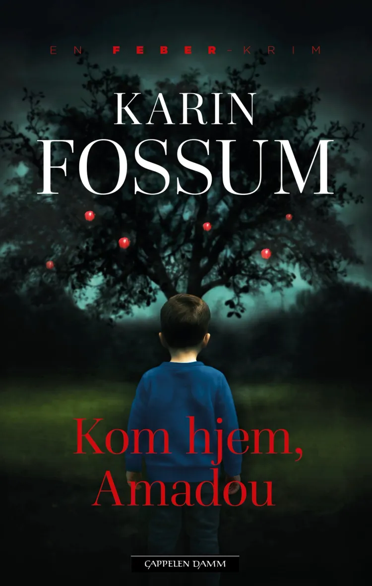 Omslag Kom hjem, Amadou av Karin Fossum (Innbundet)