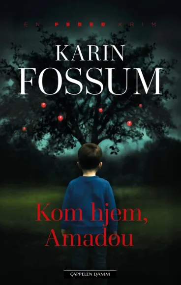 Omslag Kom hjem, Amadou av Karin Fossum (Ebok)