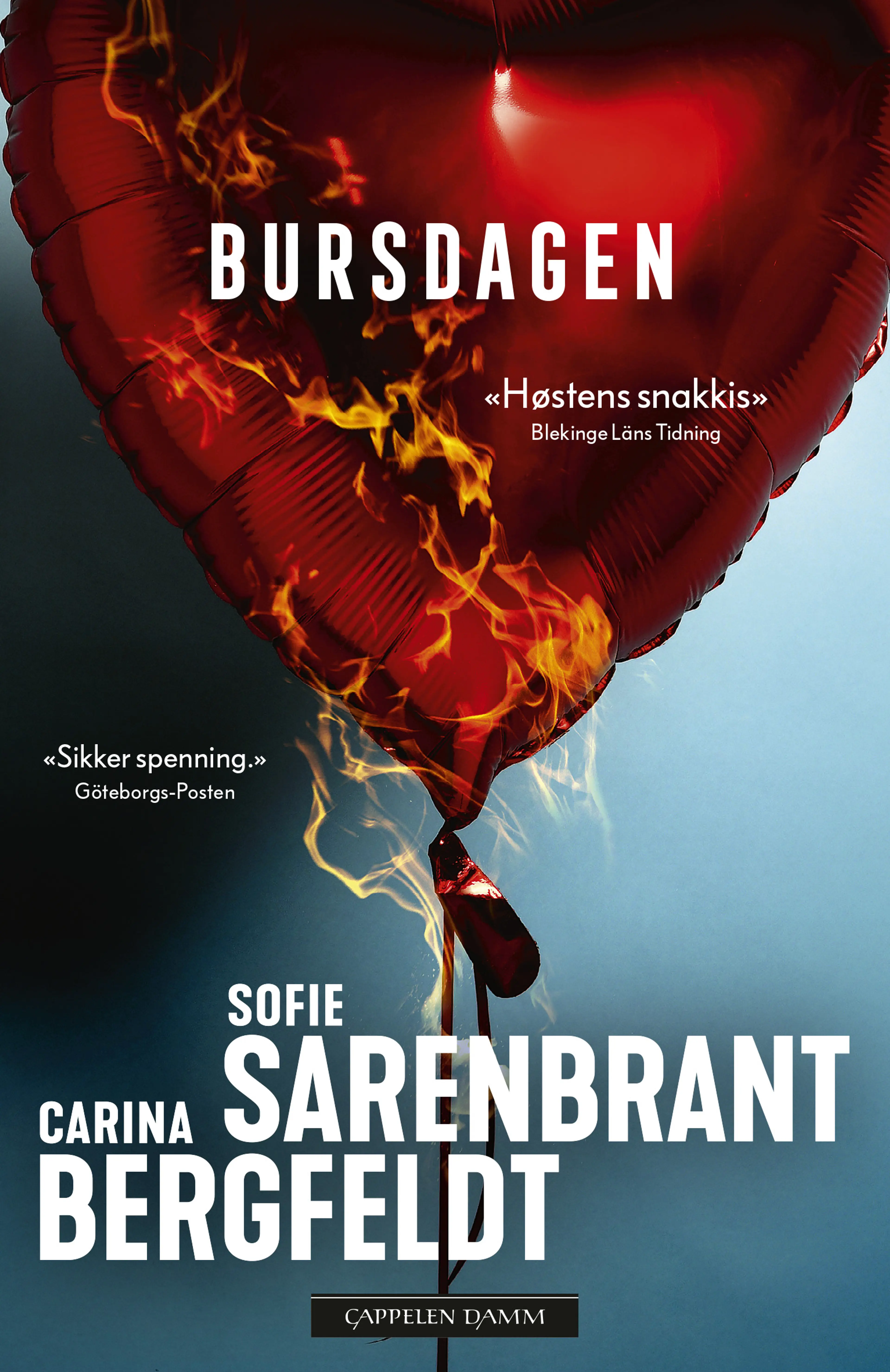 Omslag Bursdagen av Sofie Sarenbrant og Carina Bergfeldt (Ebok)