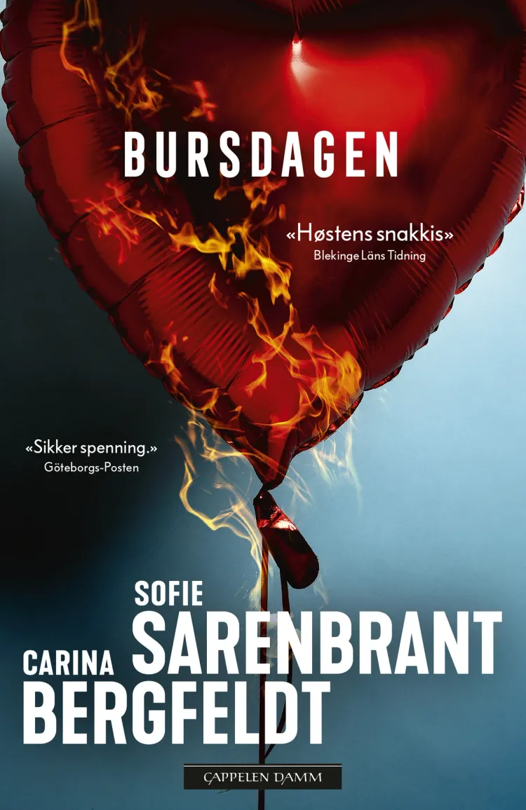 Omslag Bursdagen av Carina Bergfeldt og Sofie Sarenbrant (Heftet)