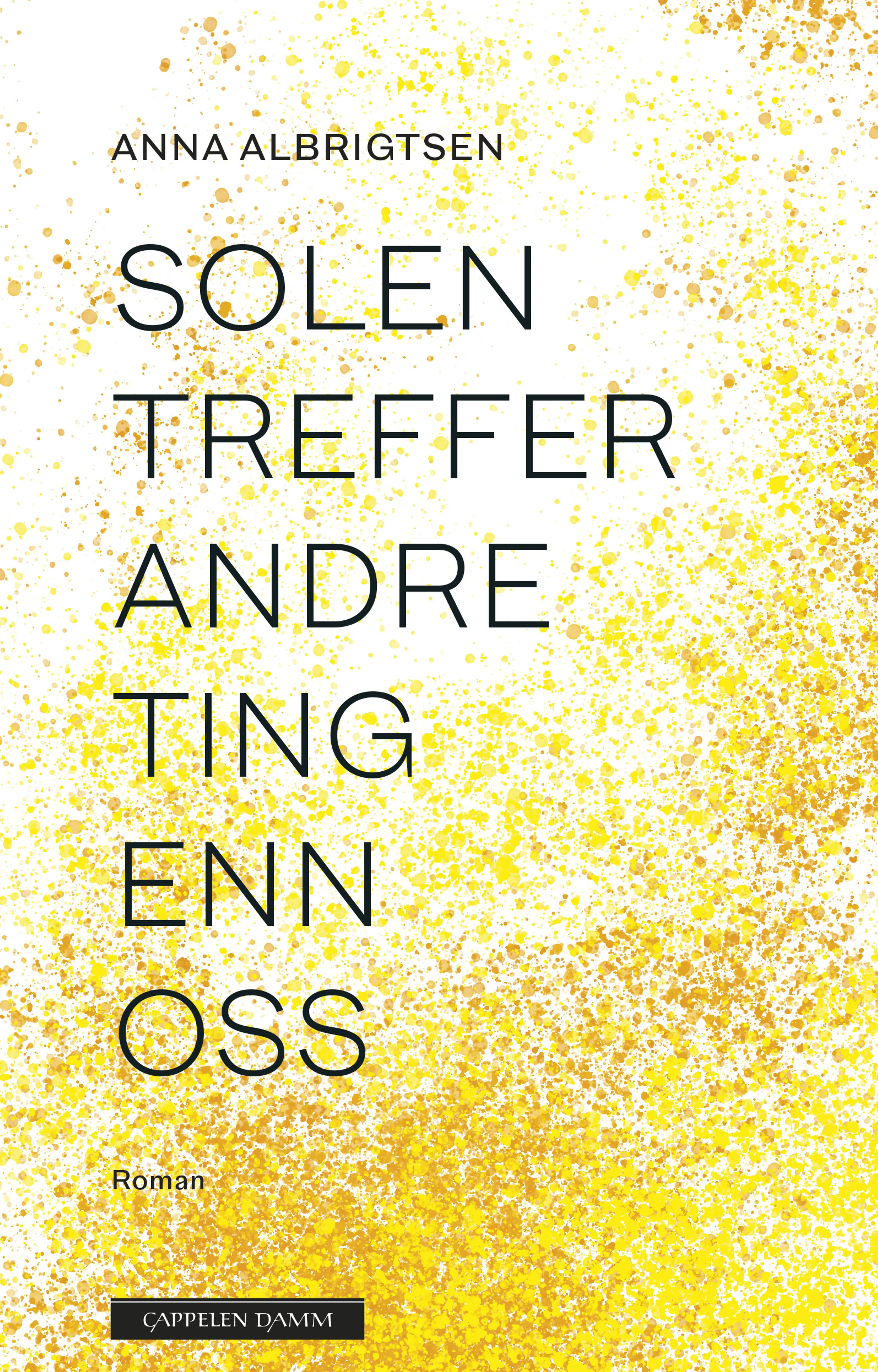 Omslag Solen treffer andre ting enn oss av Anna Albrigtsen (Innbundet)