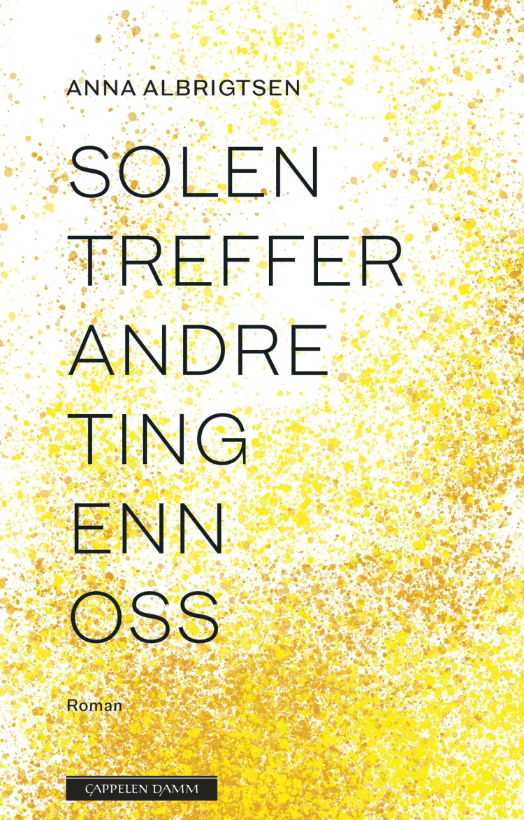 Omslag Solen treffer andre ting enn oss av Anna Albrigtsen (Innbundet)