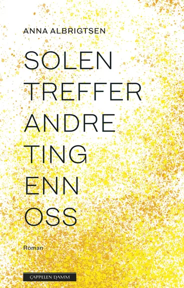 Omslag Solen treffer andre ting enn oss av Anna Albrigtsen (Innbundet)