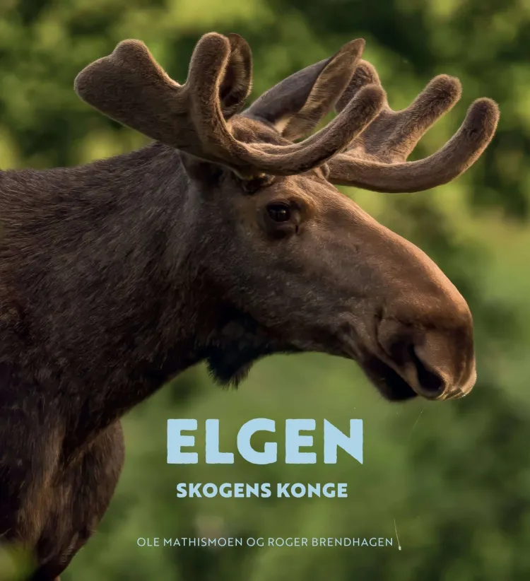 Omslag Elgen av Ole Mathismoen og Roger Brendhagen (Innbundet)
