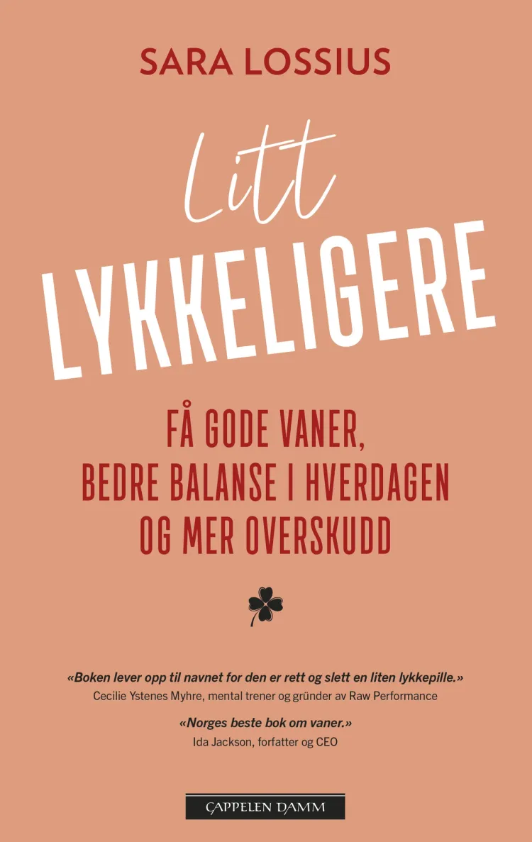 Omslag Litt lykkeligere av Sara Lossius (Heftet)