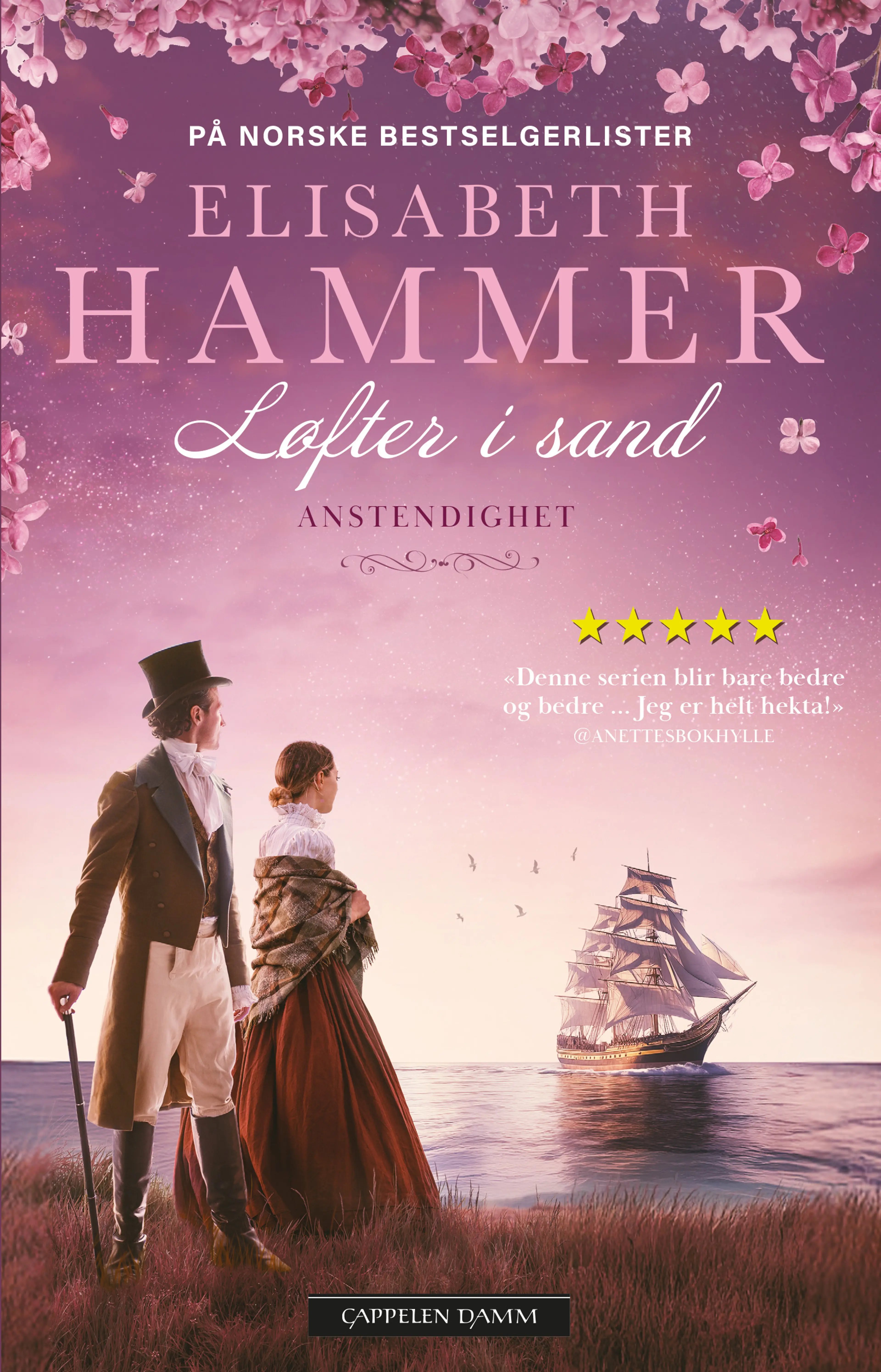 Omslag Anstendighet av Elisabeth Hammer (Ebok)