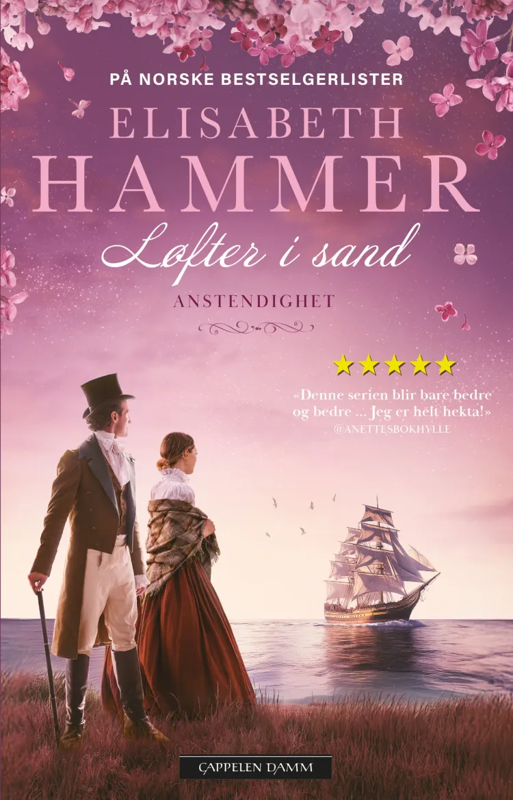 Omslag Anstendighet av Elisabeth Hammer (Heftet)