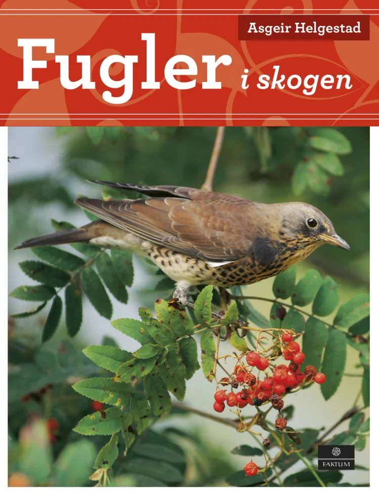 Omslag Fugler i skogen av Asgeir Helgestad (Innbundet)