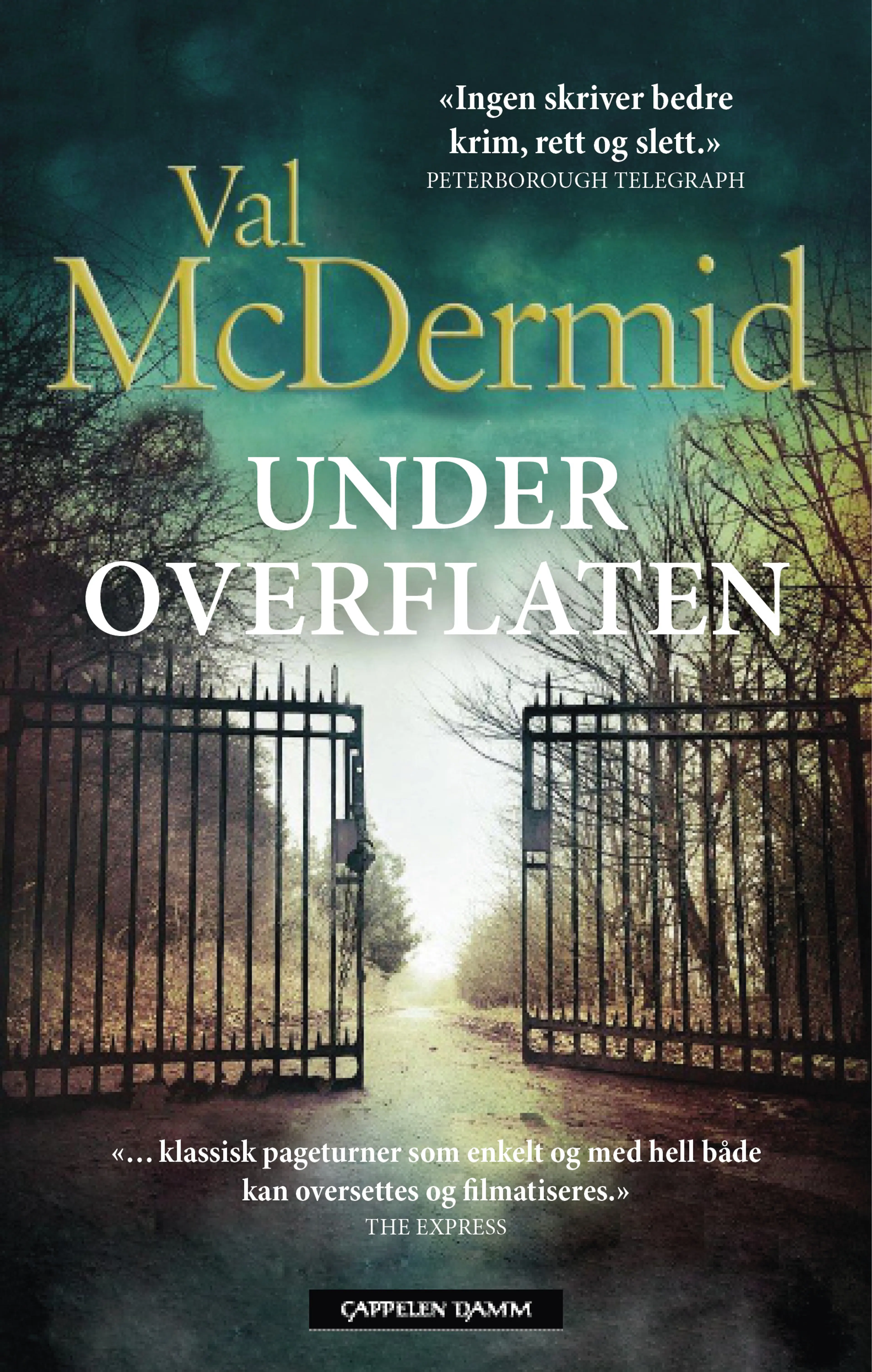 Omslag Under overflaten av Val McDermid (Innbundet)