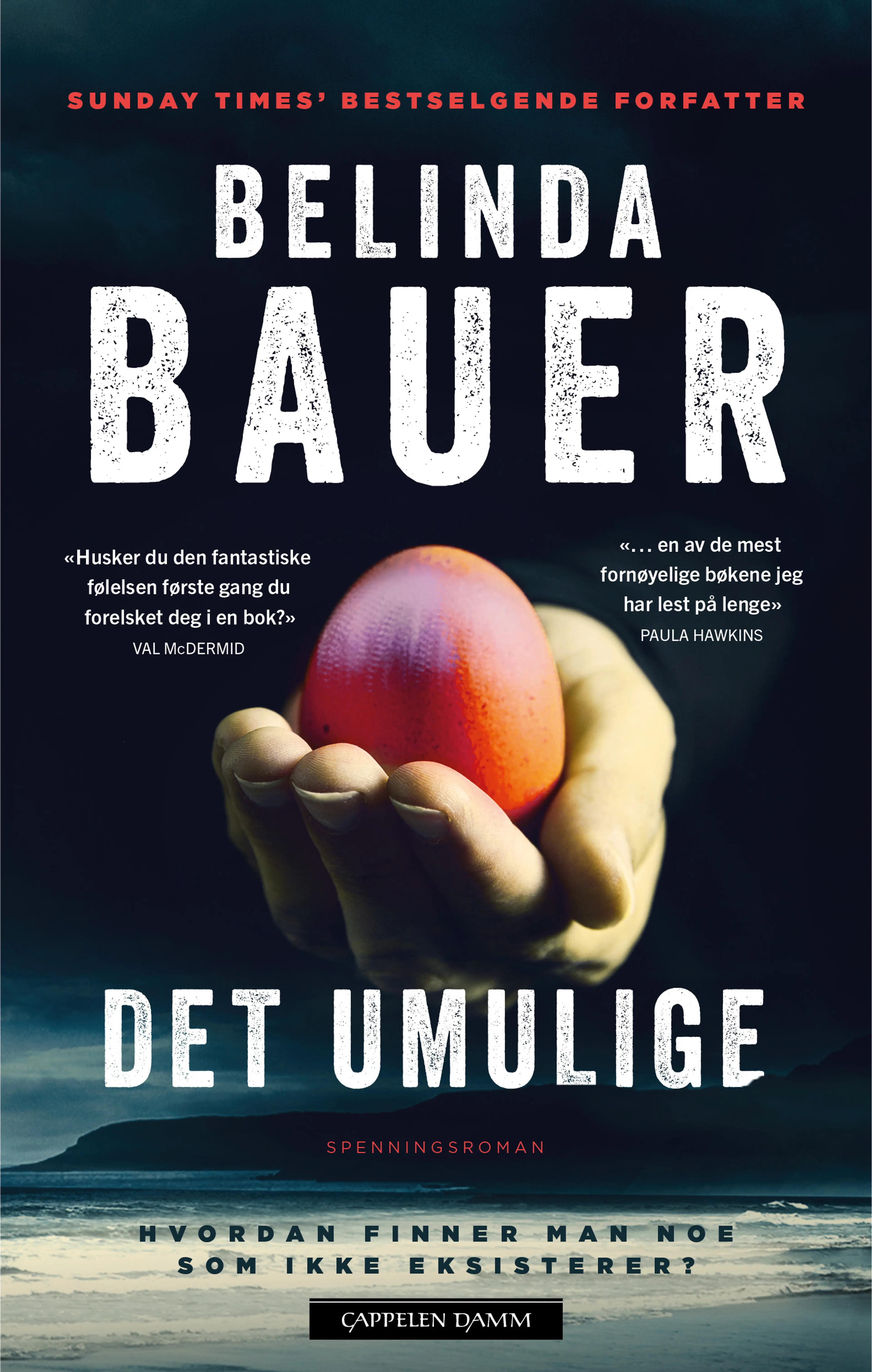 Omslag Det umulige av Belinda Bauer (Innbundet)