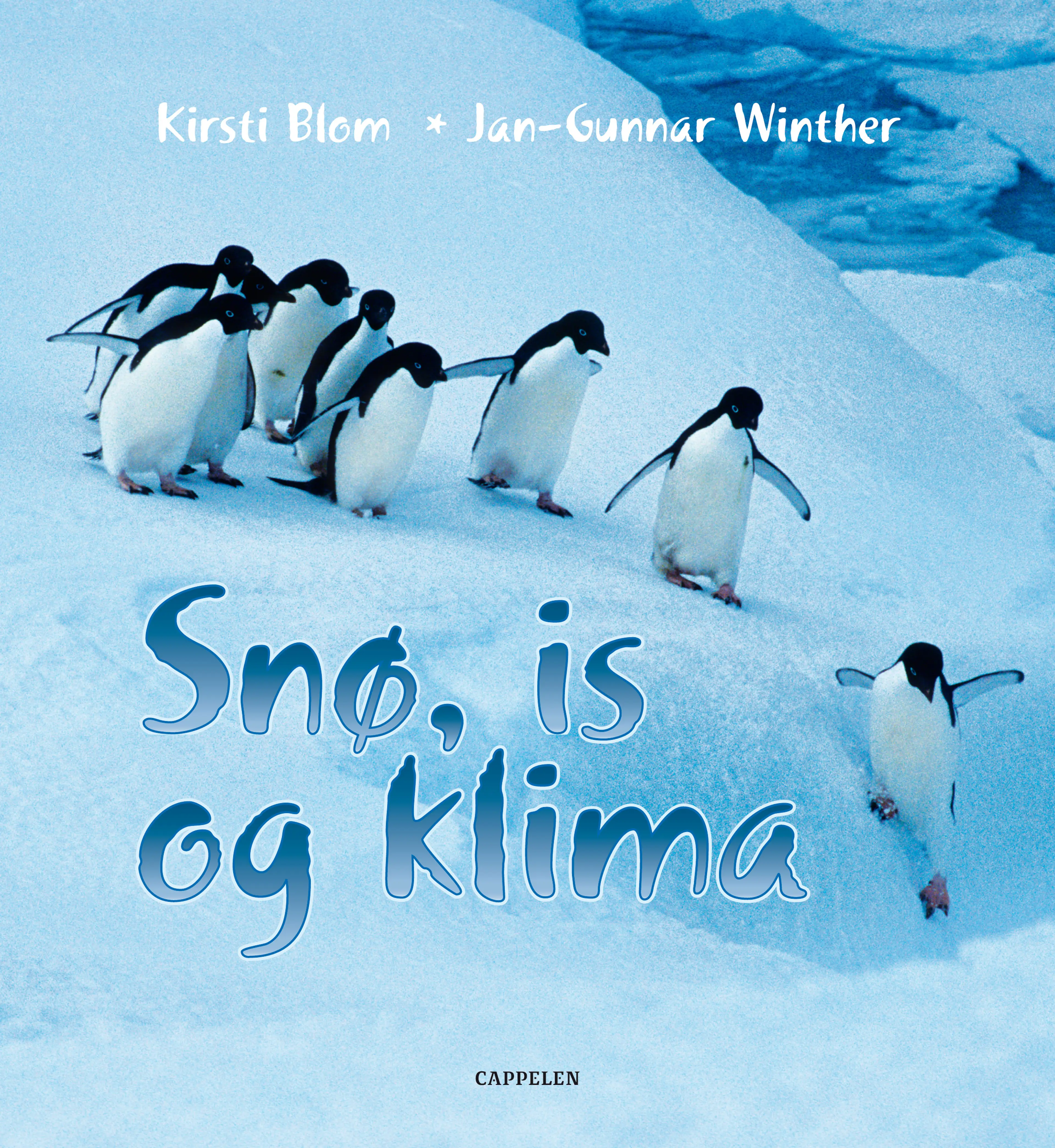Omslag Snø, is og klima av Kirsti Blom og Jan-Gunnar Winther (Innbundet)