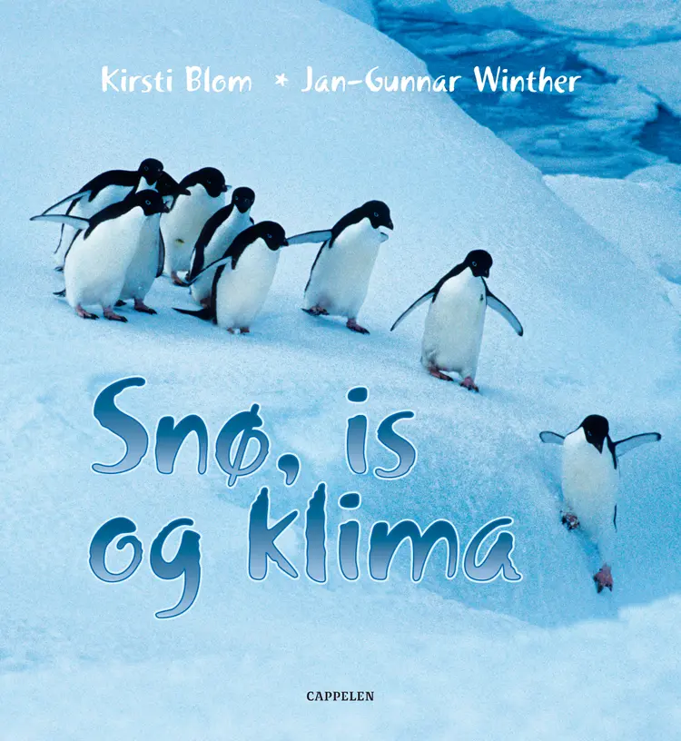 Omslag Snø, is og klima av Kirsti Blom og Jan-Gunnar Winther (Innbundet)